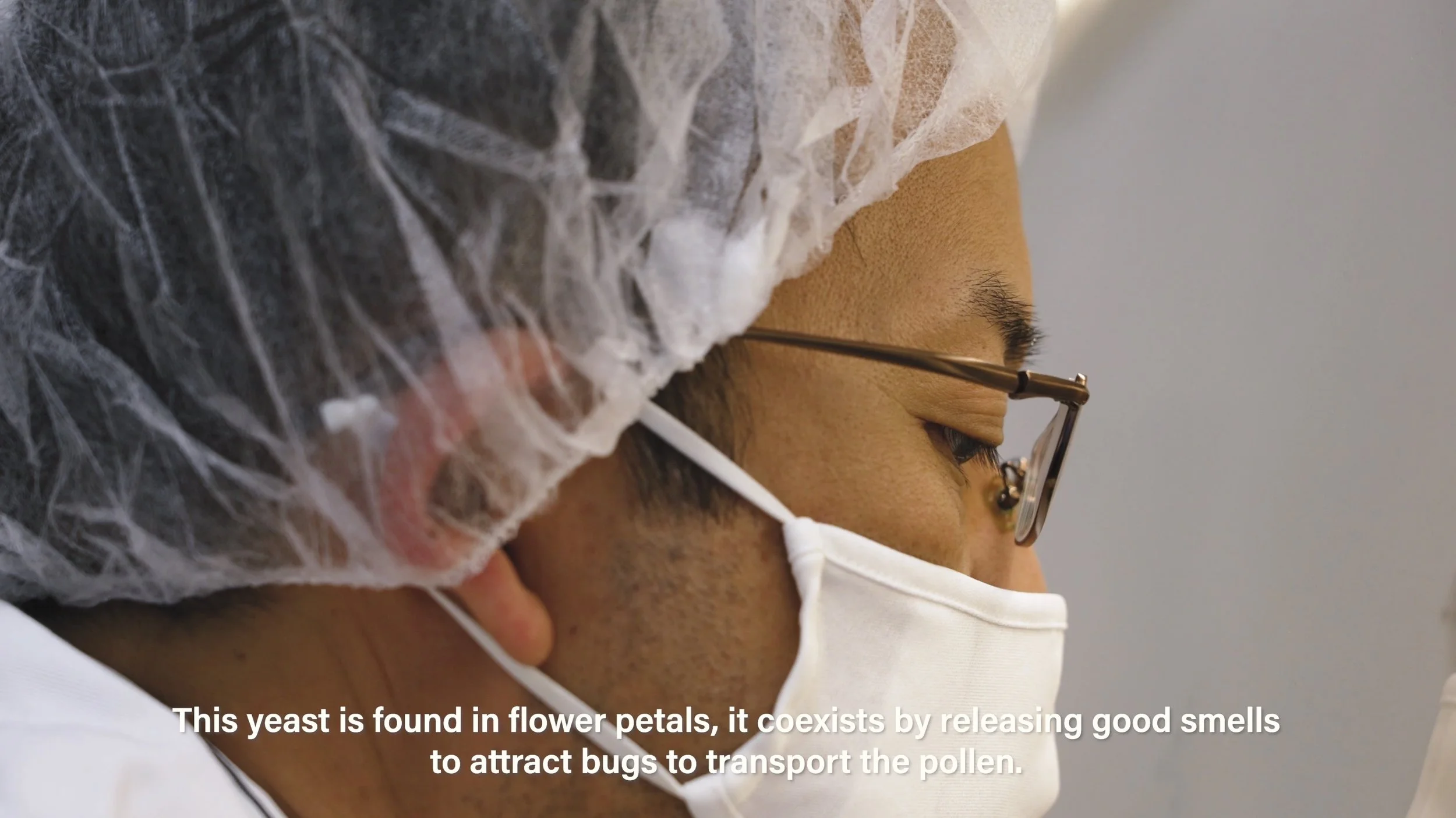 Screen Shot 2022-08-11 at 8.39.09 PM.jpg