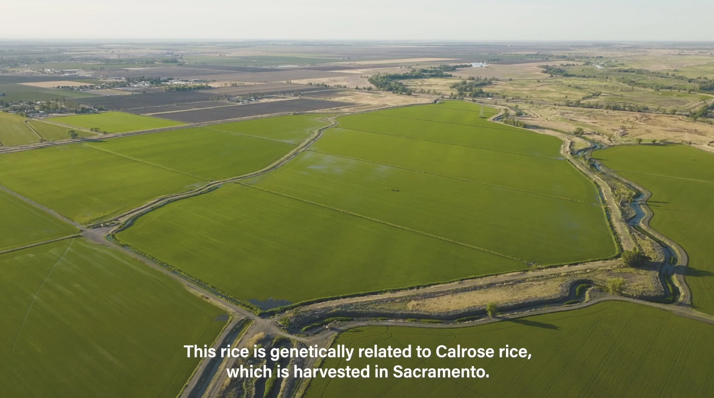 Screen Shot 2022-08-11 at 8.40.10 PM.jpg