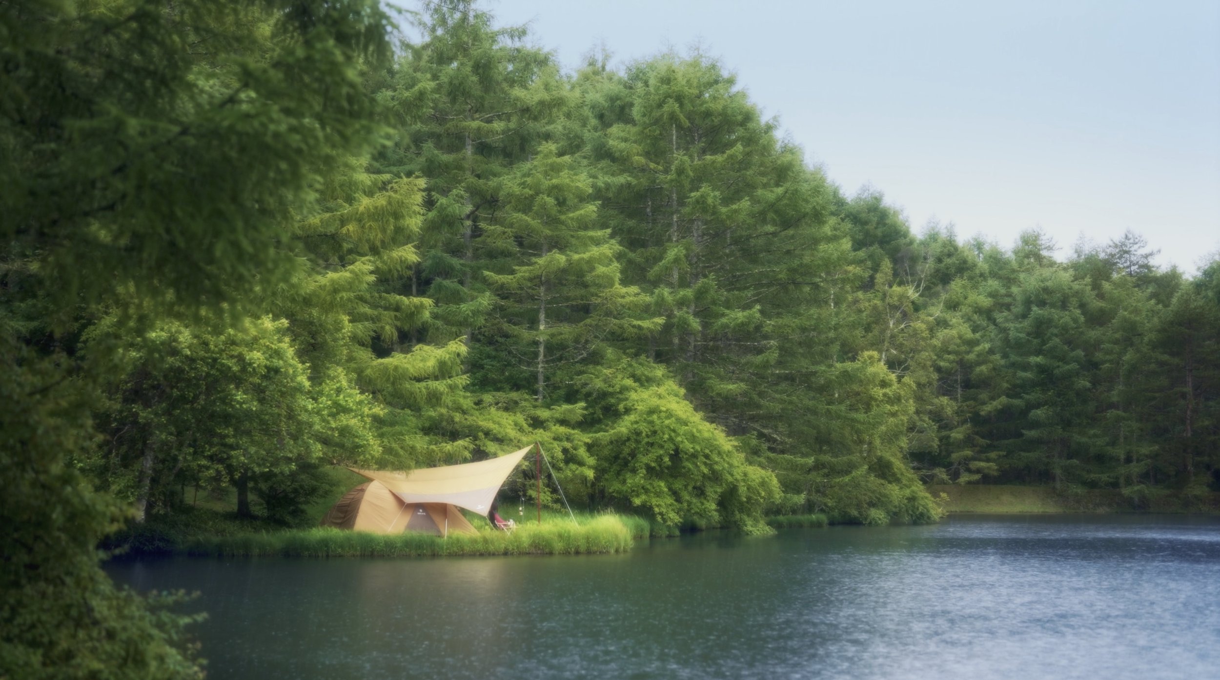 Screen Shot 2022-08-11 at 8.59.25 PM.jpg