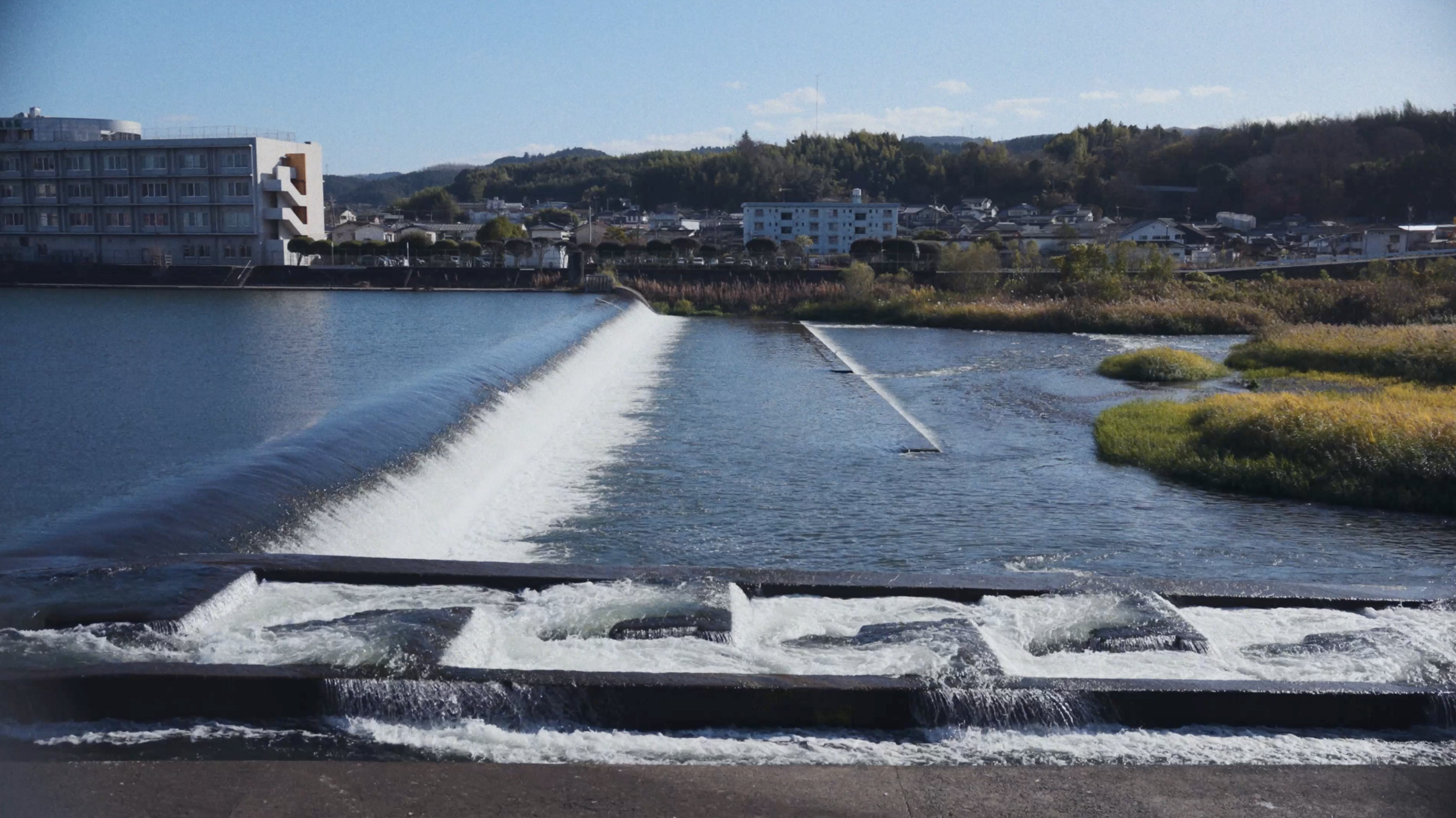 Screenshot 2024-03-21 at 1.29.05 PM.png