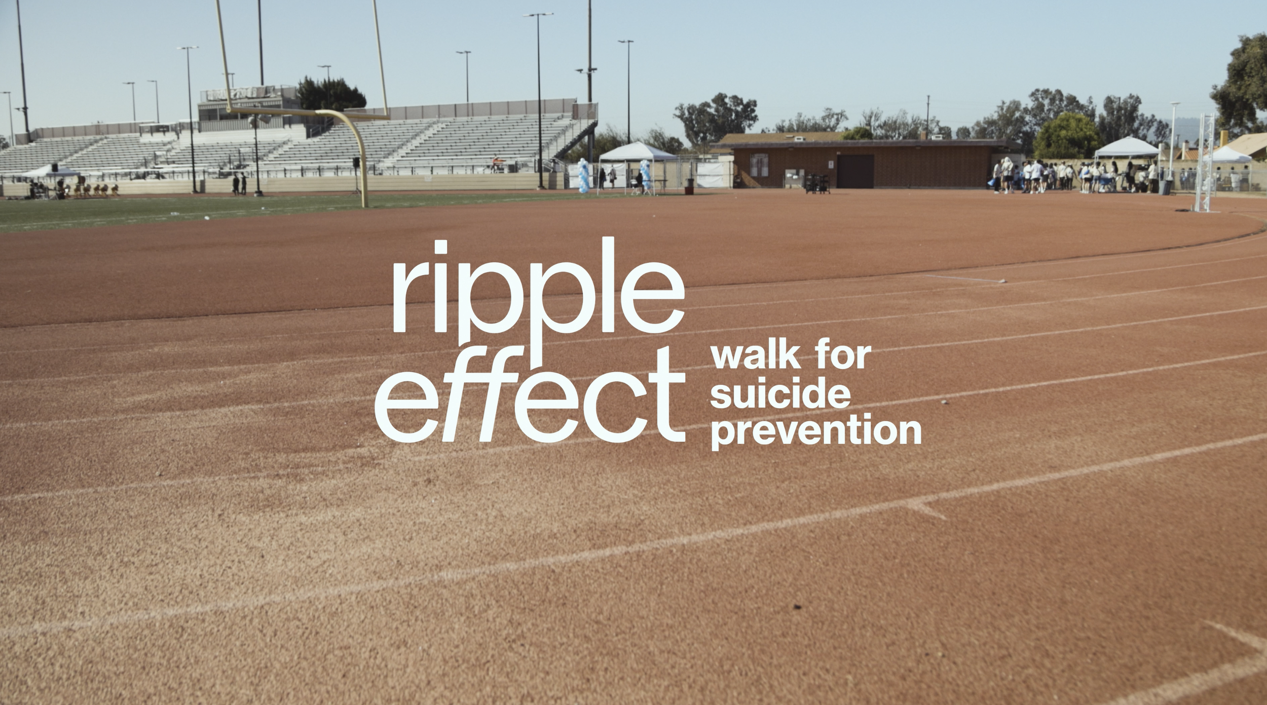 ripple effect 2024 / LTSC