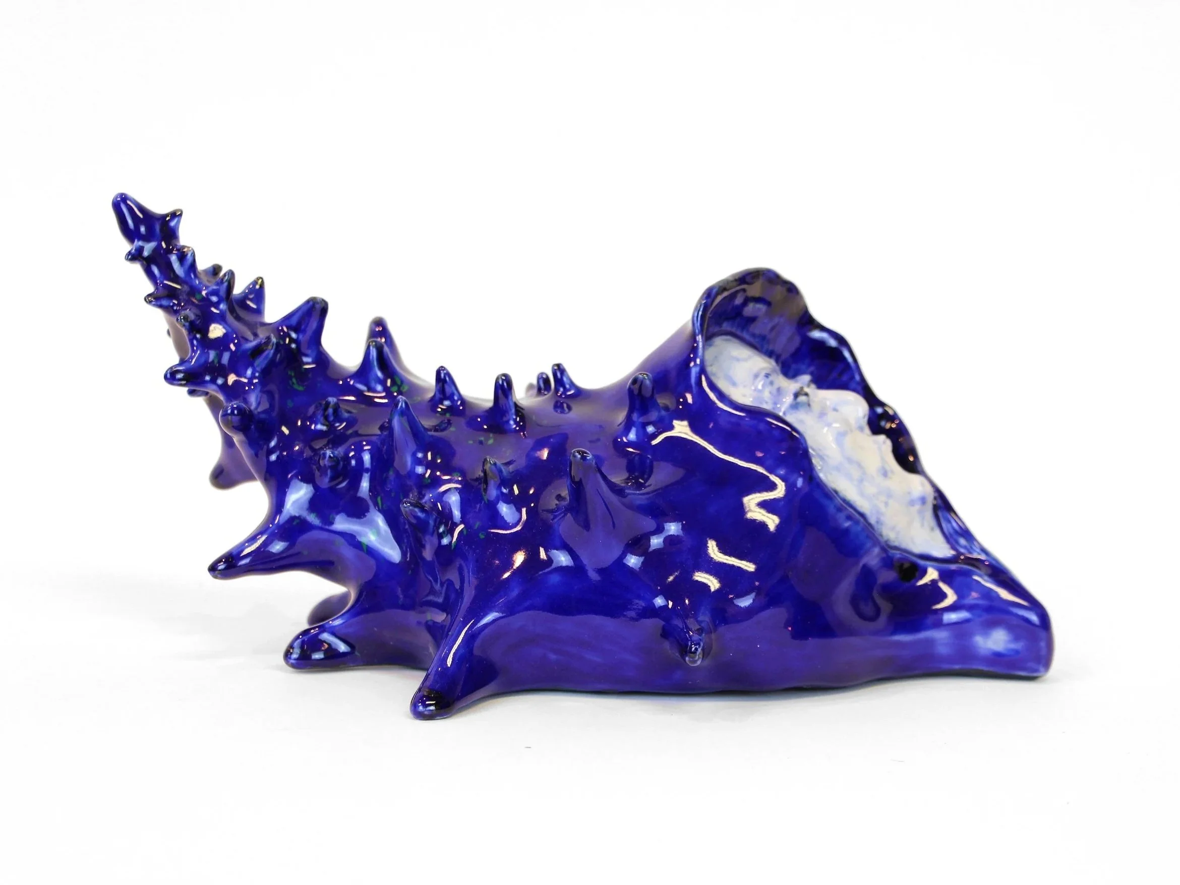 Dreaming Blue Conch
