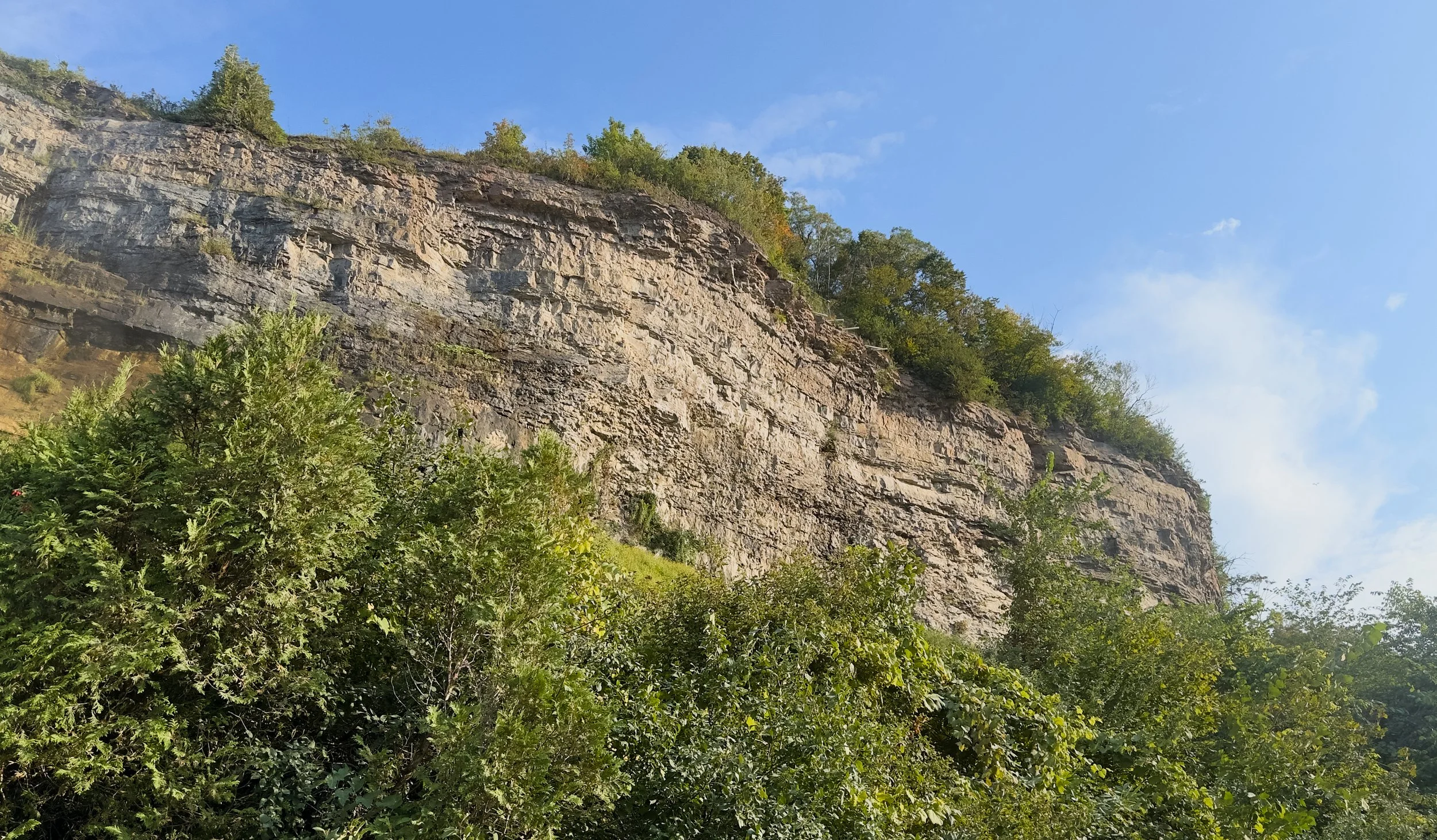 Niagra Falls_2410.jpg