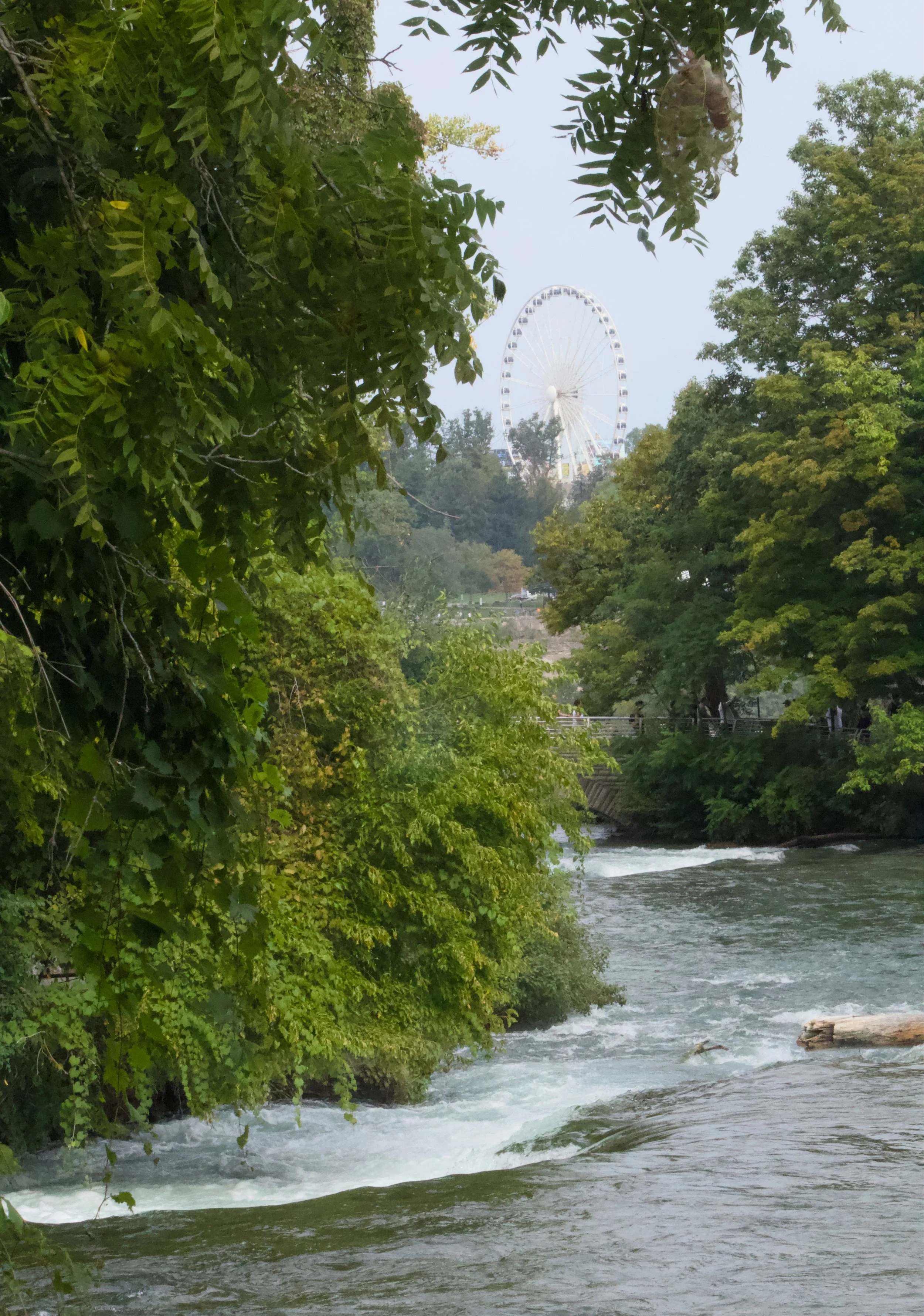 Niagra Falls_1261.jpg