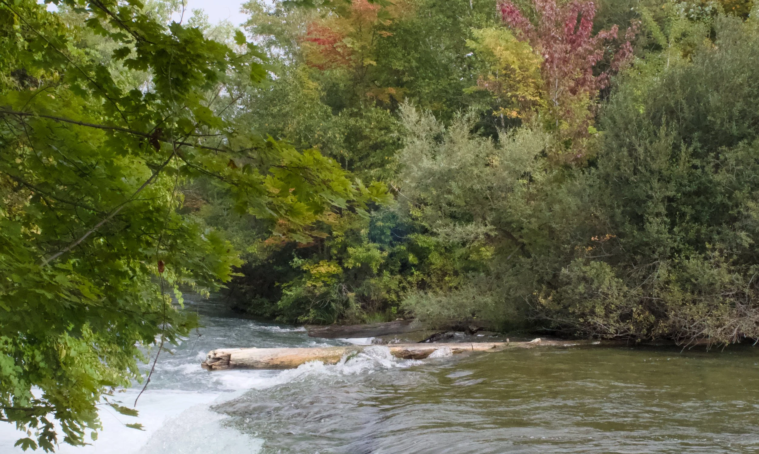 Niagra Falls_1232.jpg