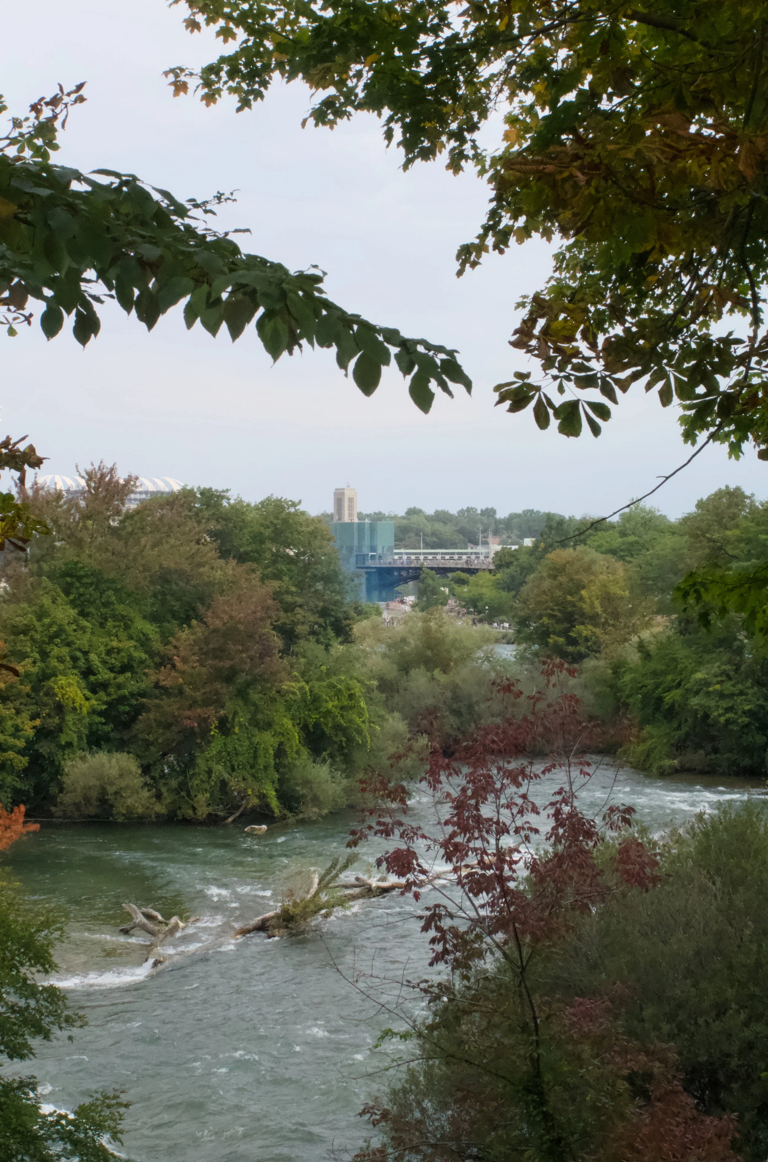 Niagra Falls_1177.jpg