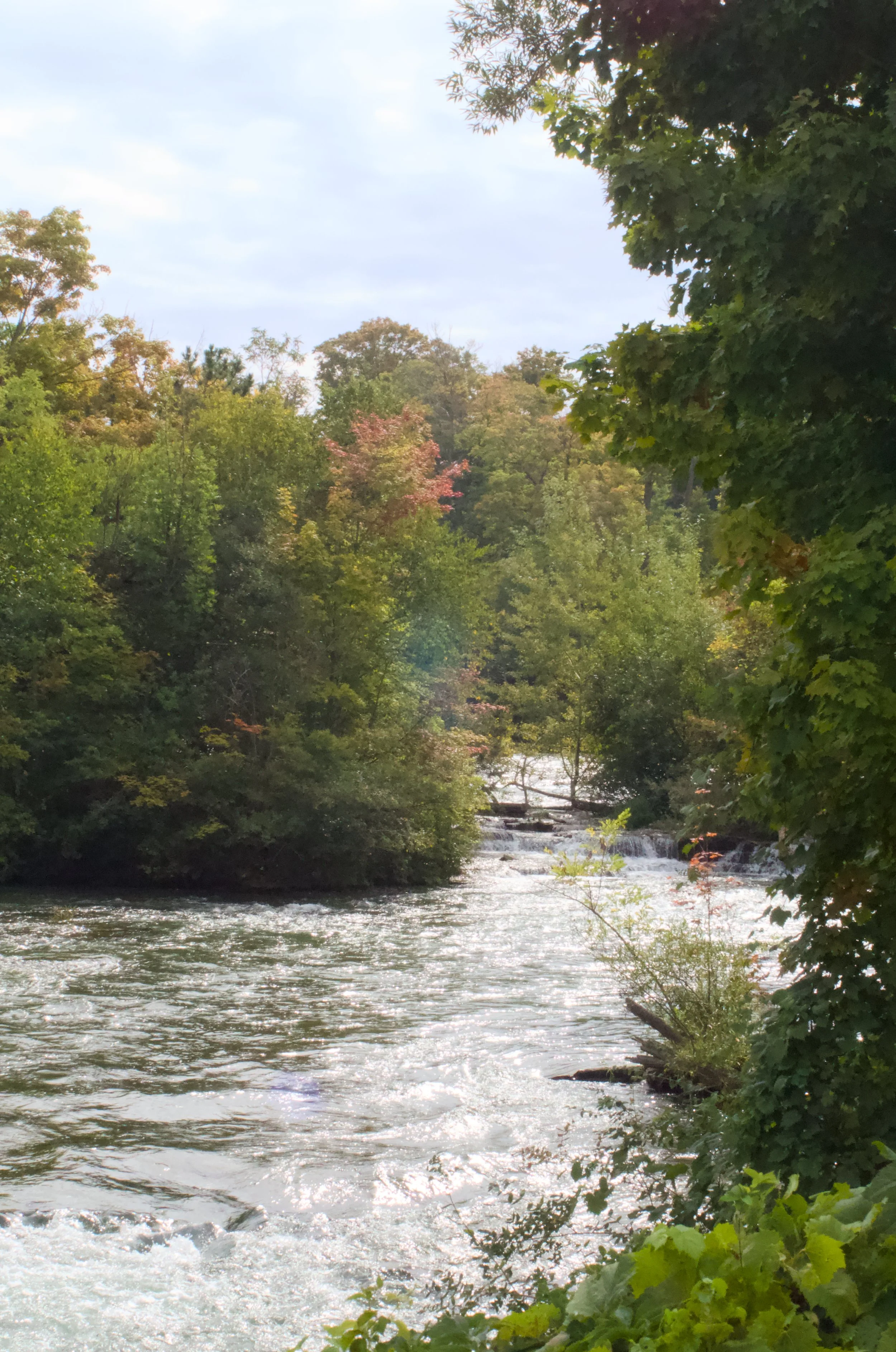 Niagra Falls_1106.jpg