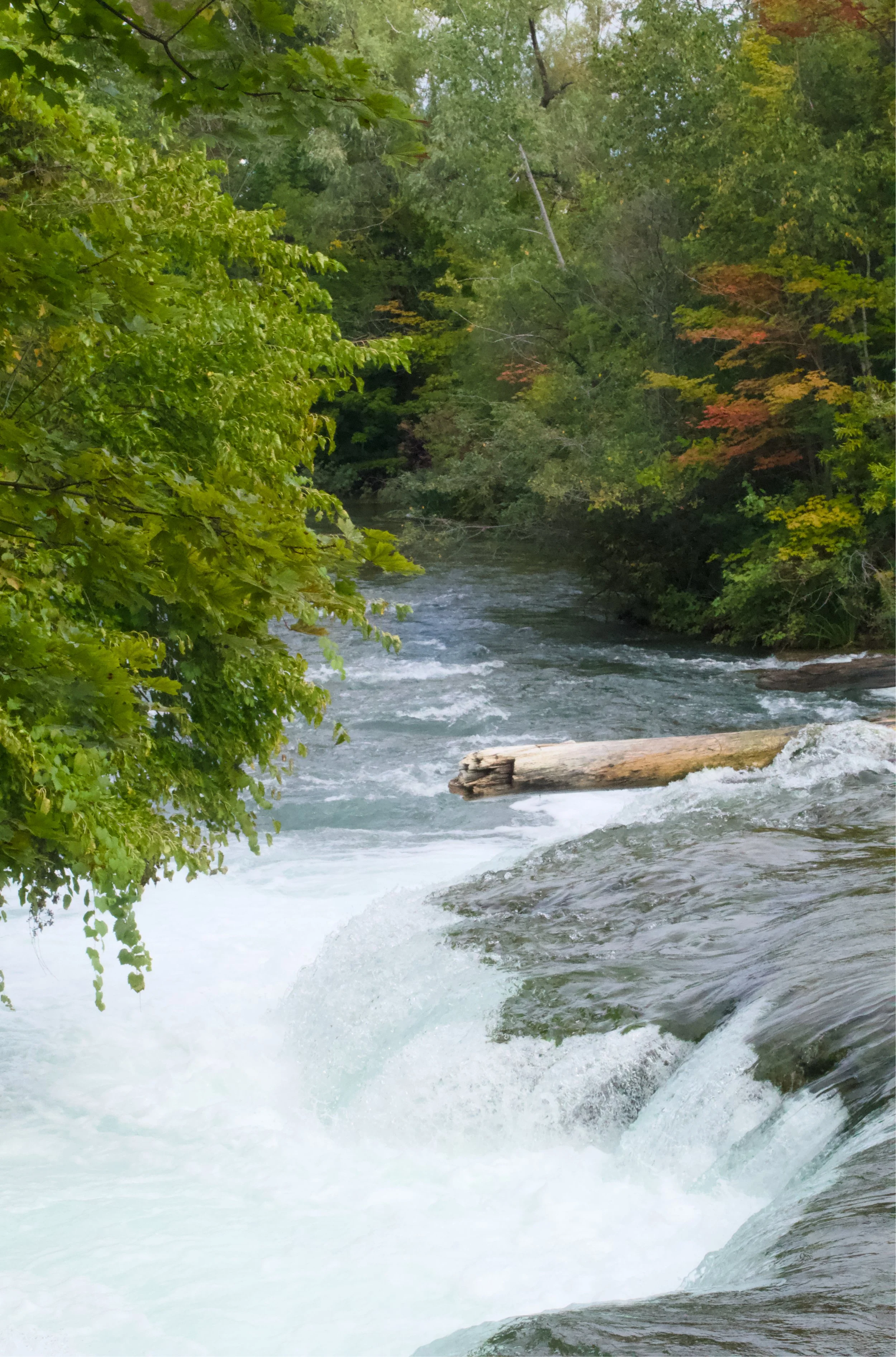 Niagra Falls_1084.jpg