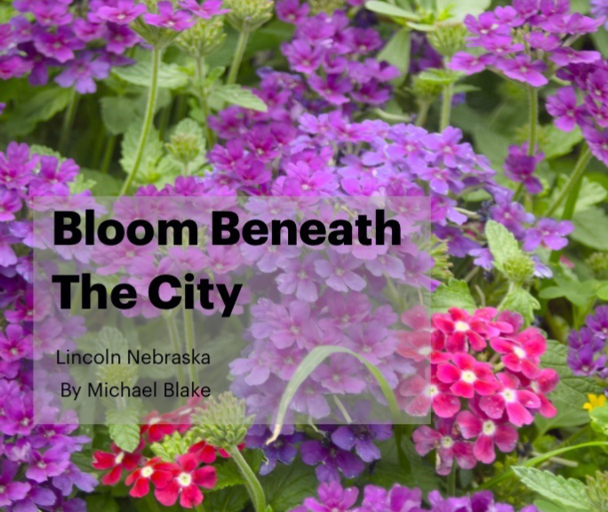 Bloom Beneath The City