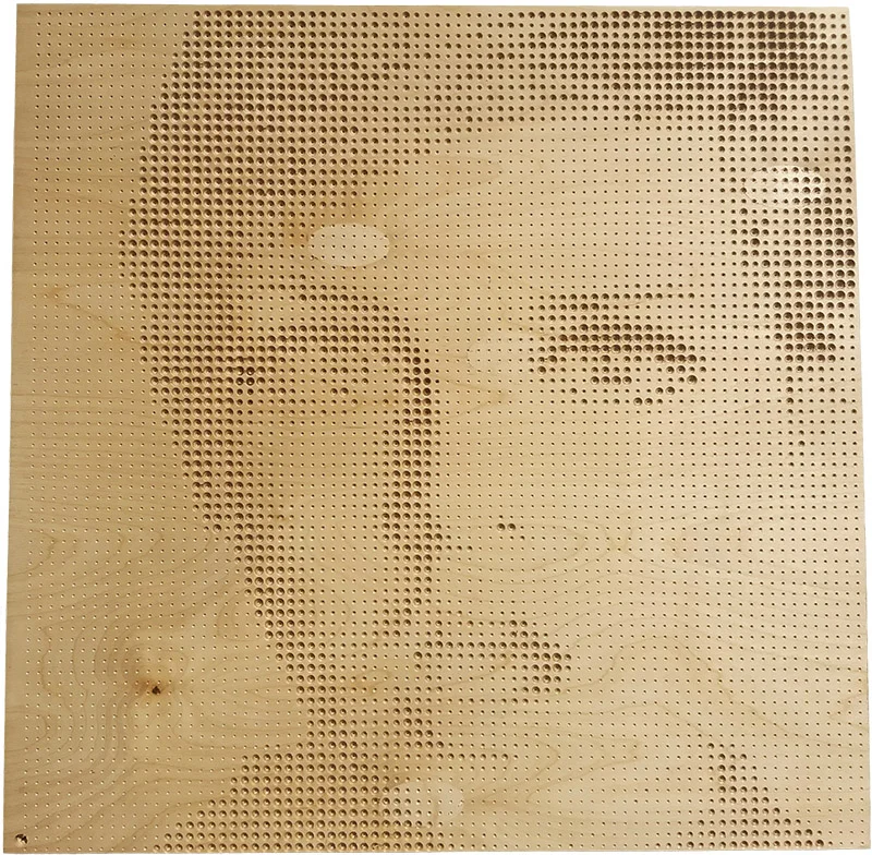 Twiggy Decorative Panel