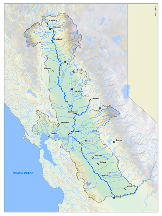 The Delta ERP area