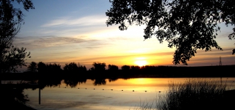 photo by Delta Stewardship Council