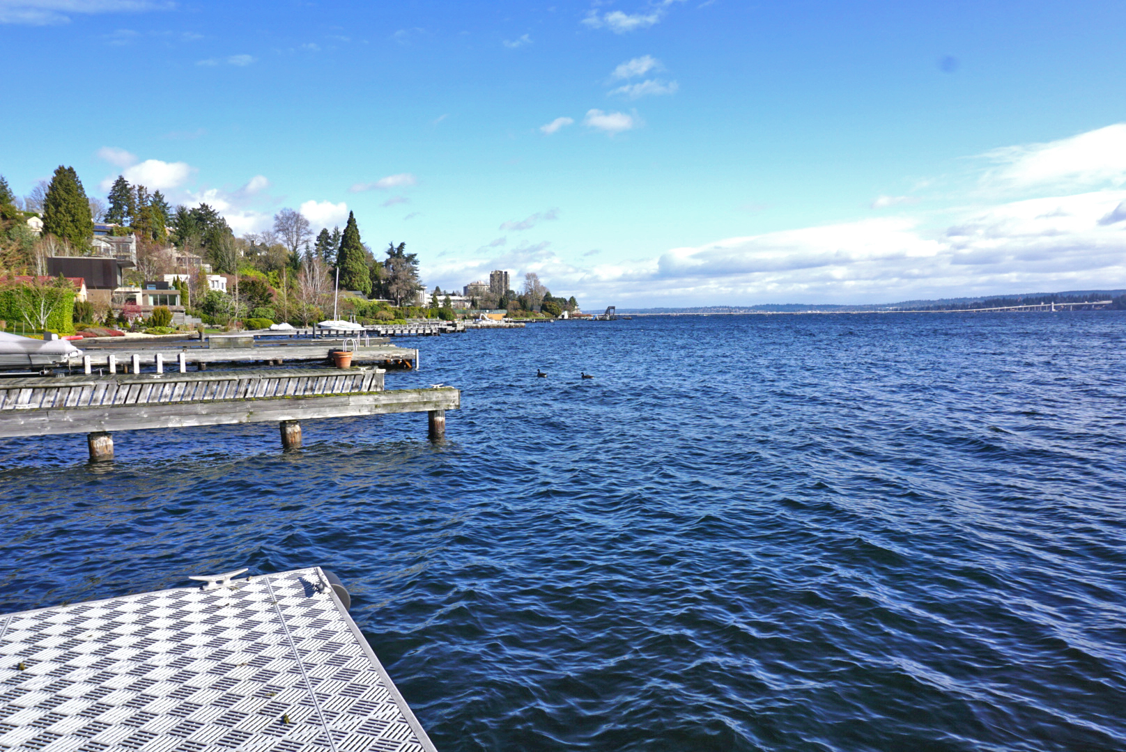 On the edge of the dock, facing north towards 520.