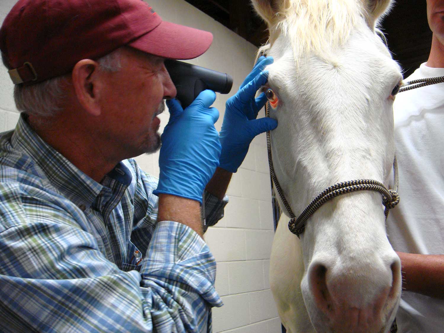 Dr. Jensen, performing an ophthalmic exam