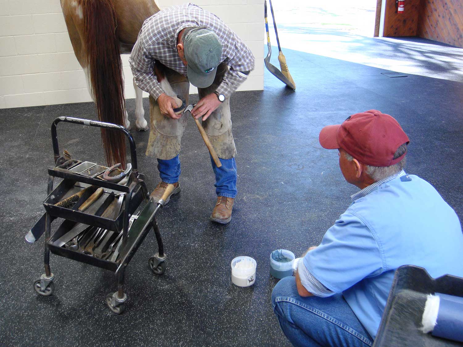 Dr. Jensen and farrier Pete Healey