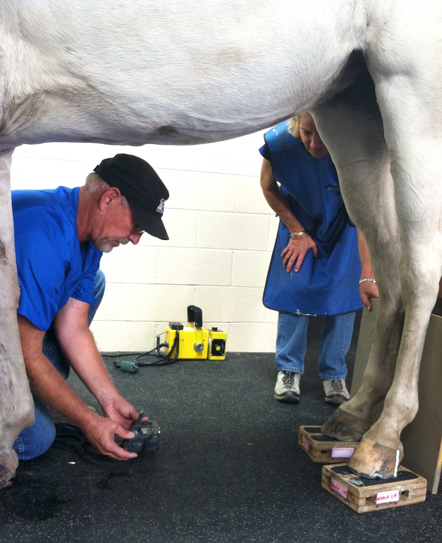 Dr. Jensen performing a Metron exam