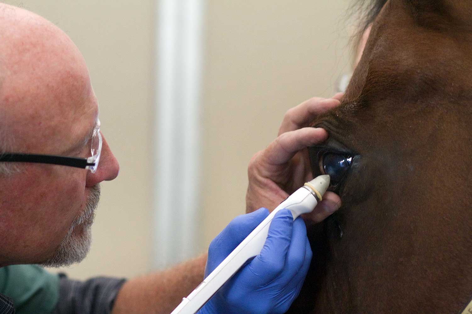 Dr. Jensen performing a tonometer exam. ghostdancephoto.com