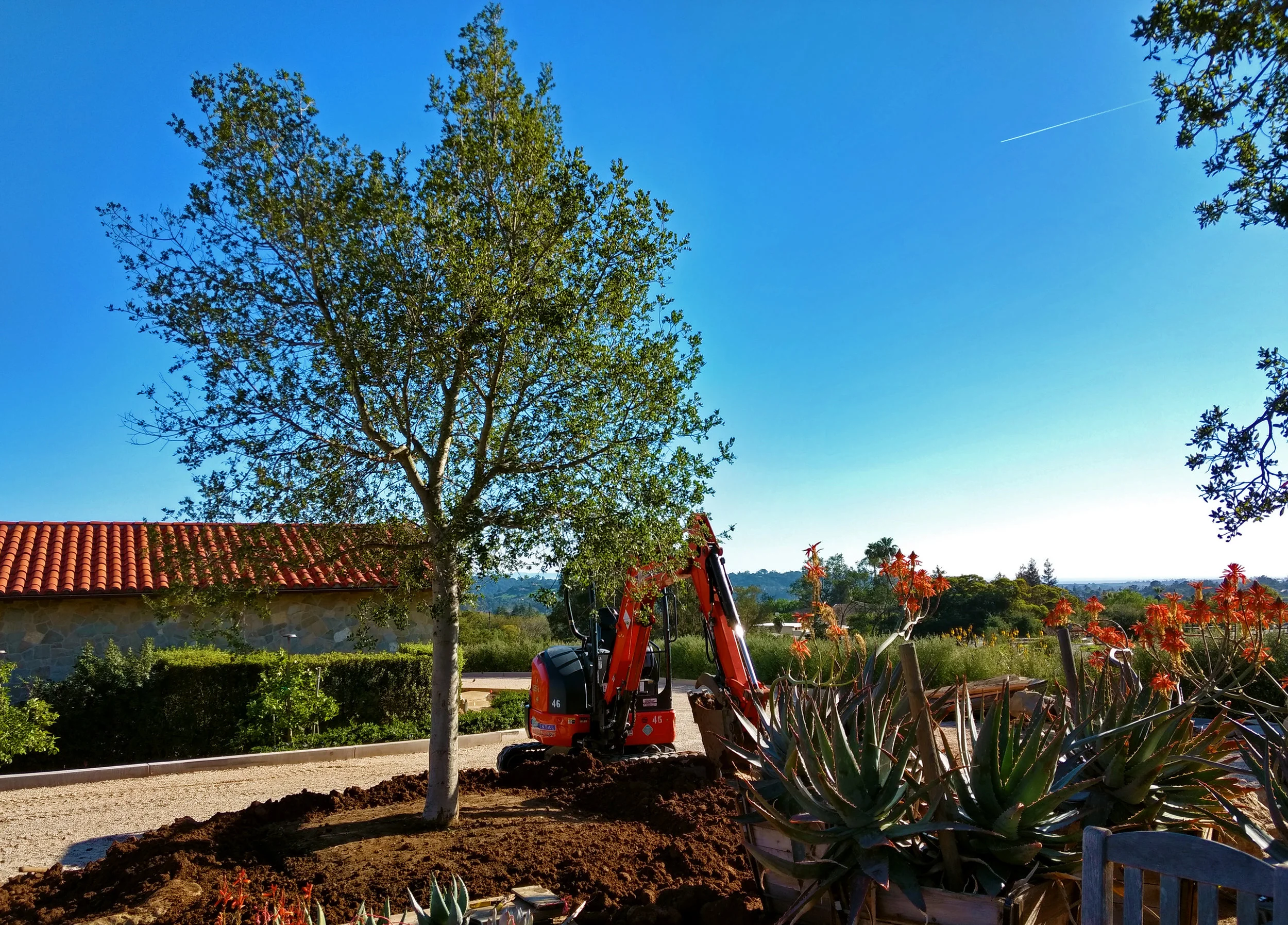 oakinstalled.jpg