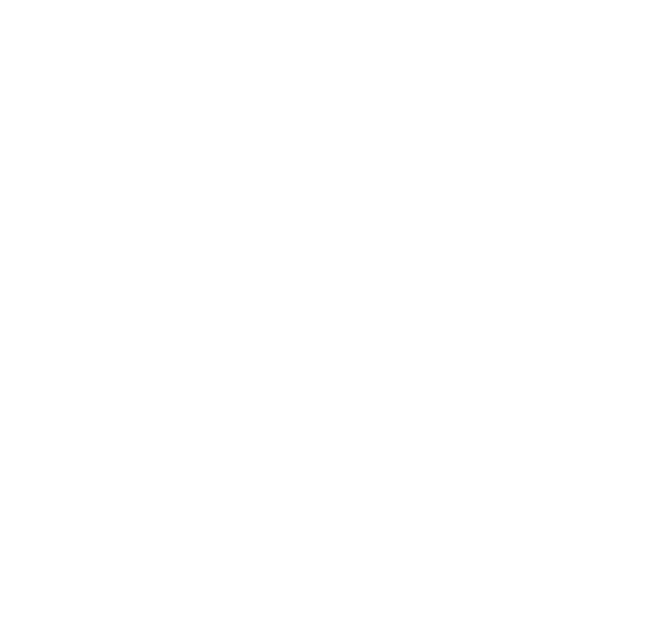 Silver Leaf Landscapes - Fine Design & Construction