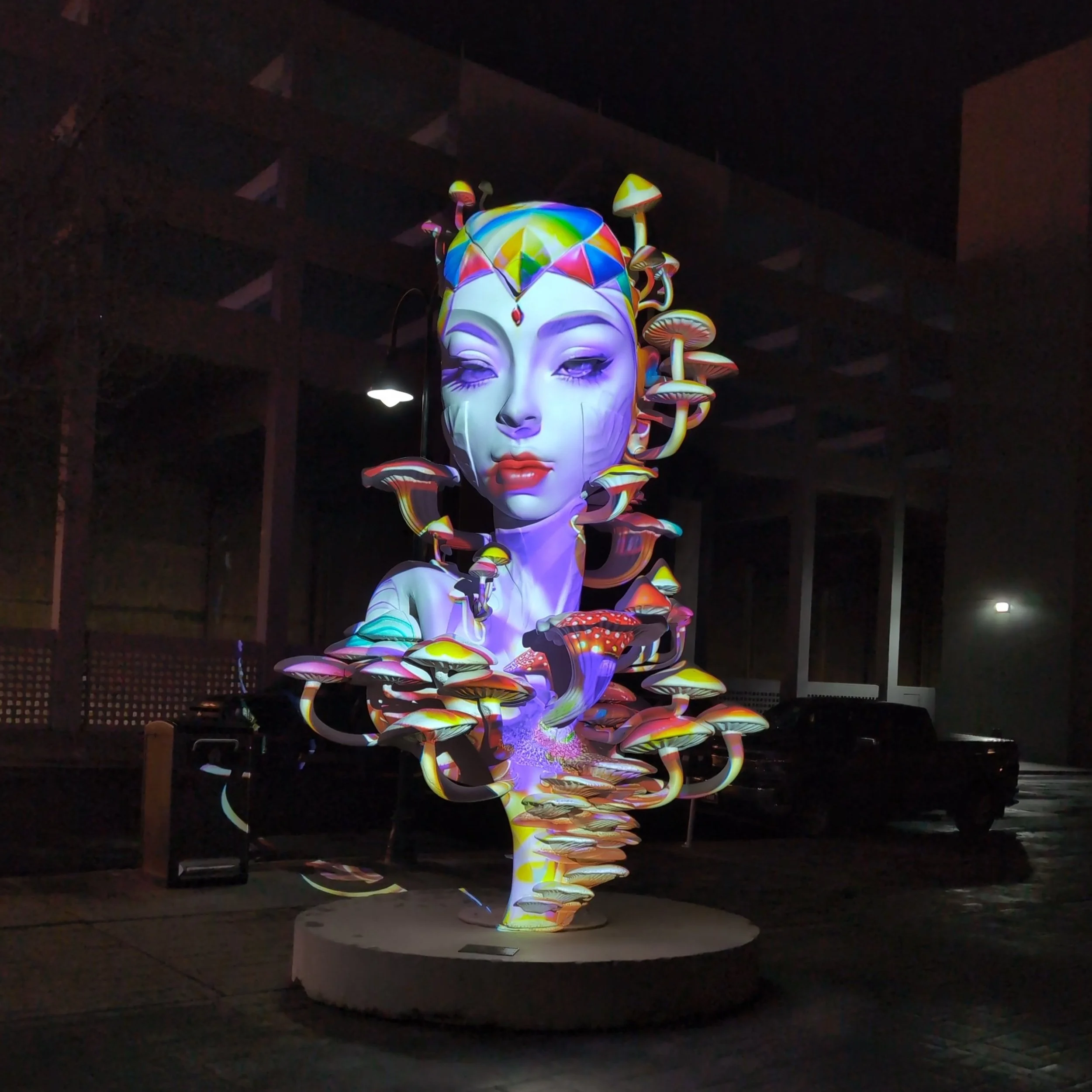 WESTERN LIGHTS FESTIVAL | Projector Tech - Daniel Popper Art