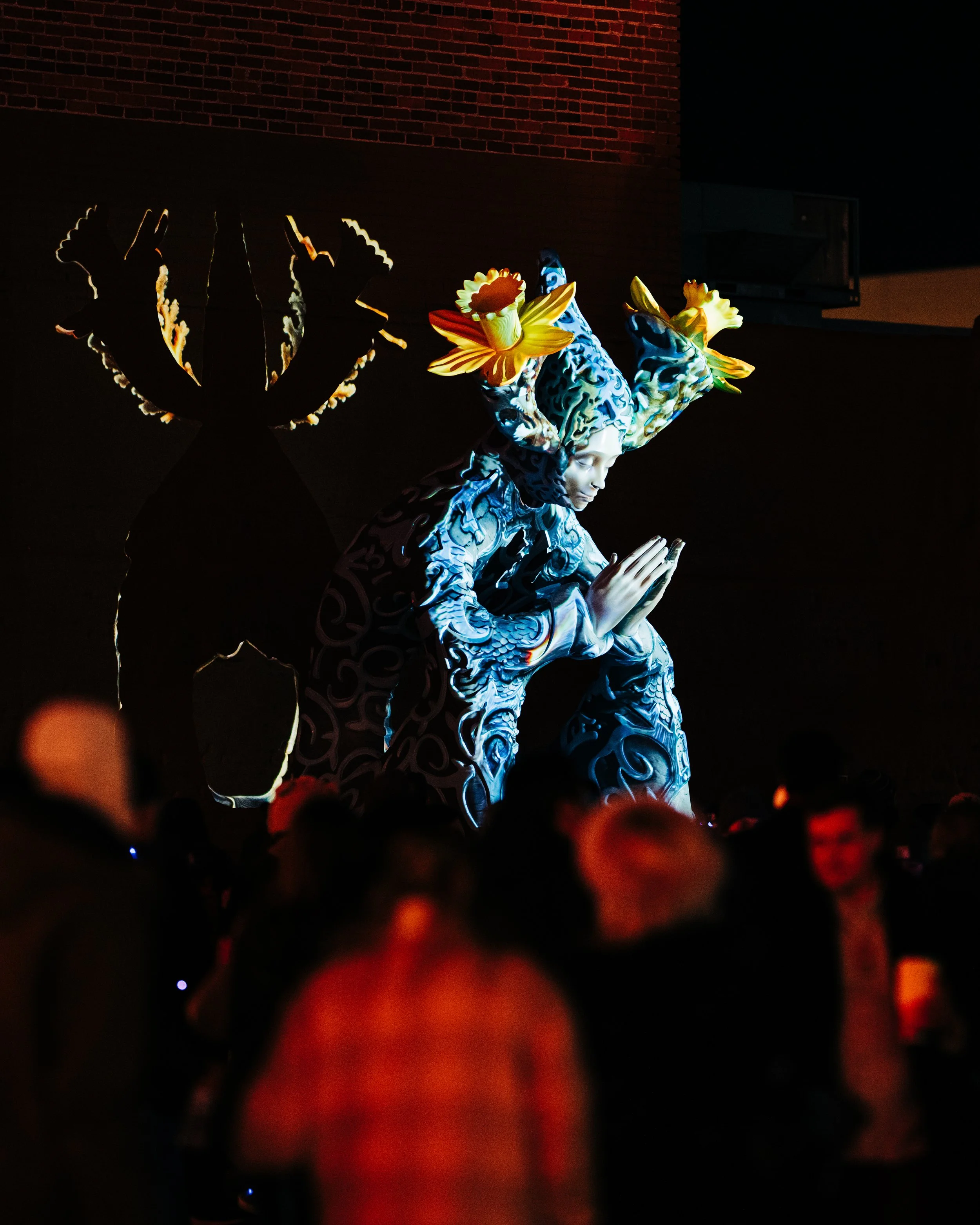 WESTERN LIGHTS FESTIVAL | Projector Tech - Daniel Popper Art