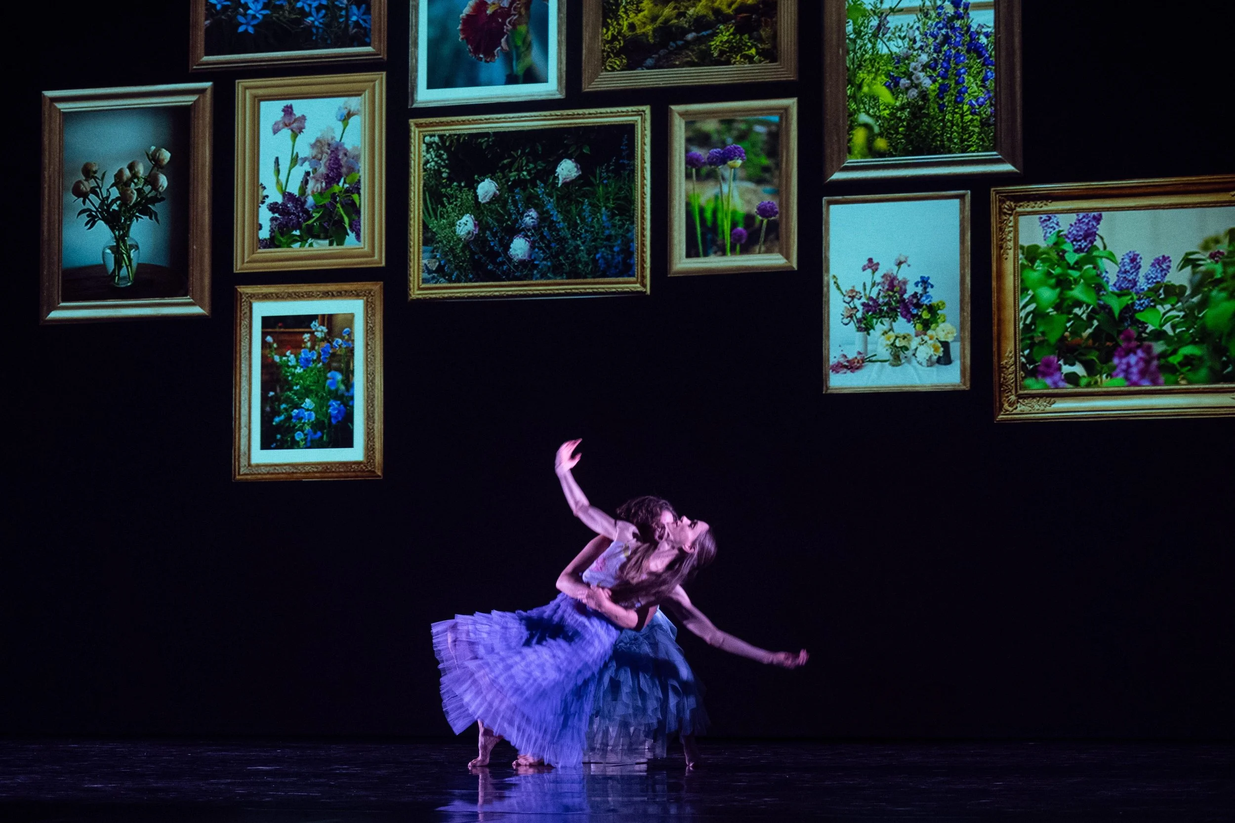 NEVADA DANCE CONCERT | Projection mapping design