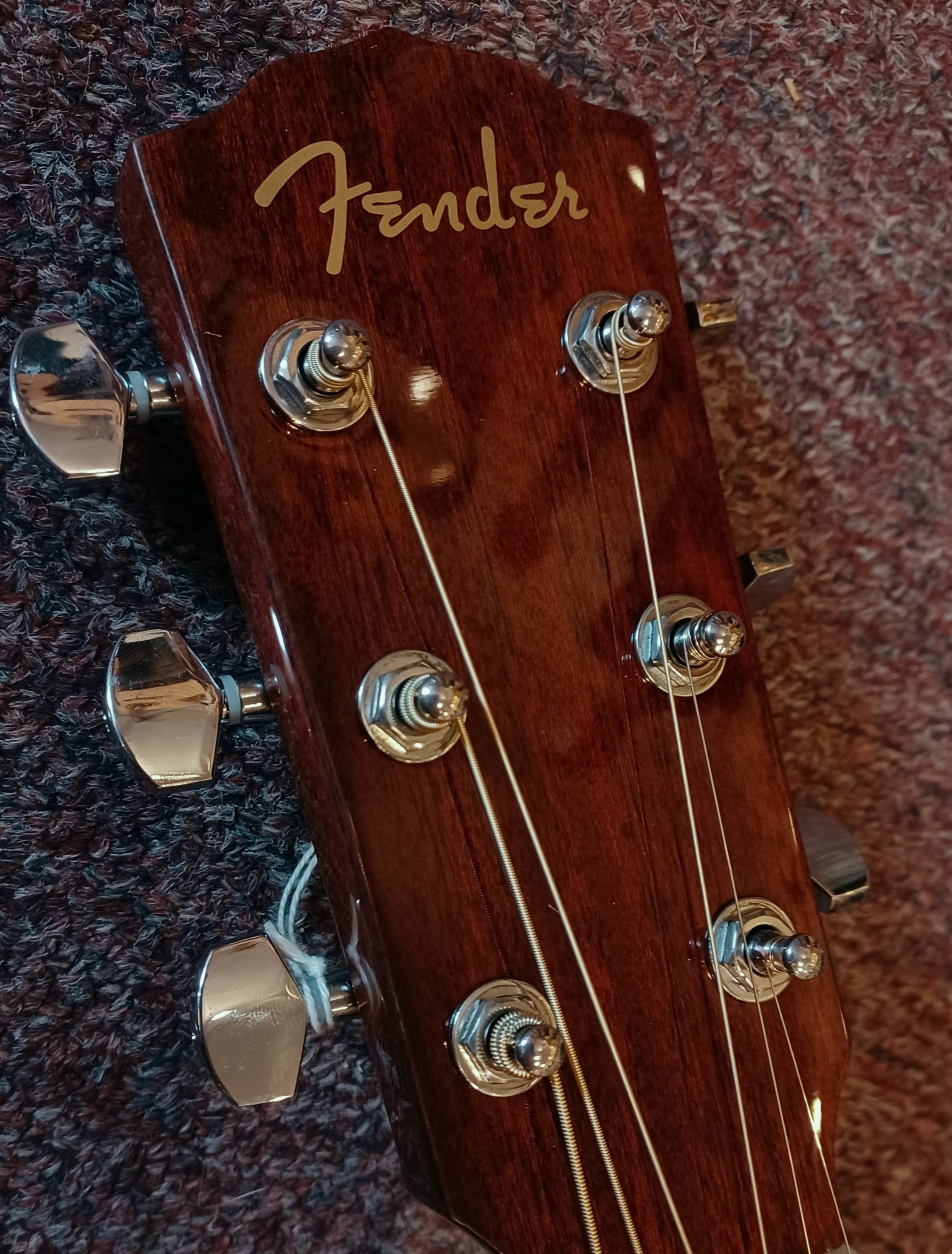 ~Fender Acoustics~