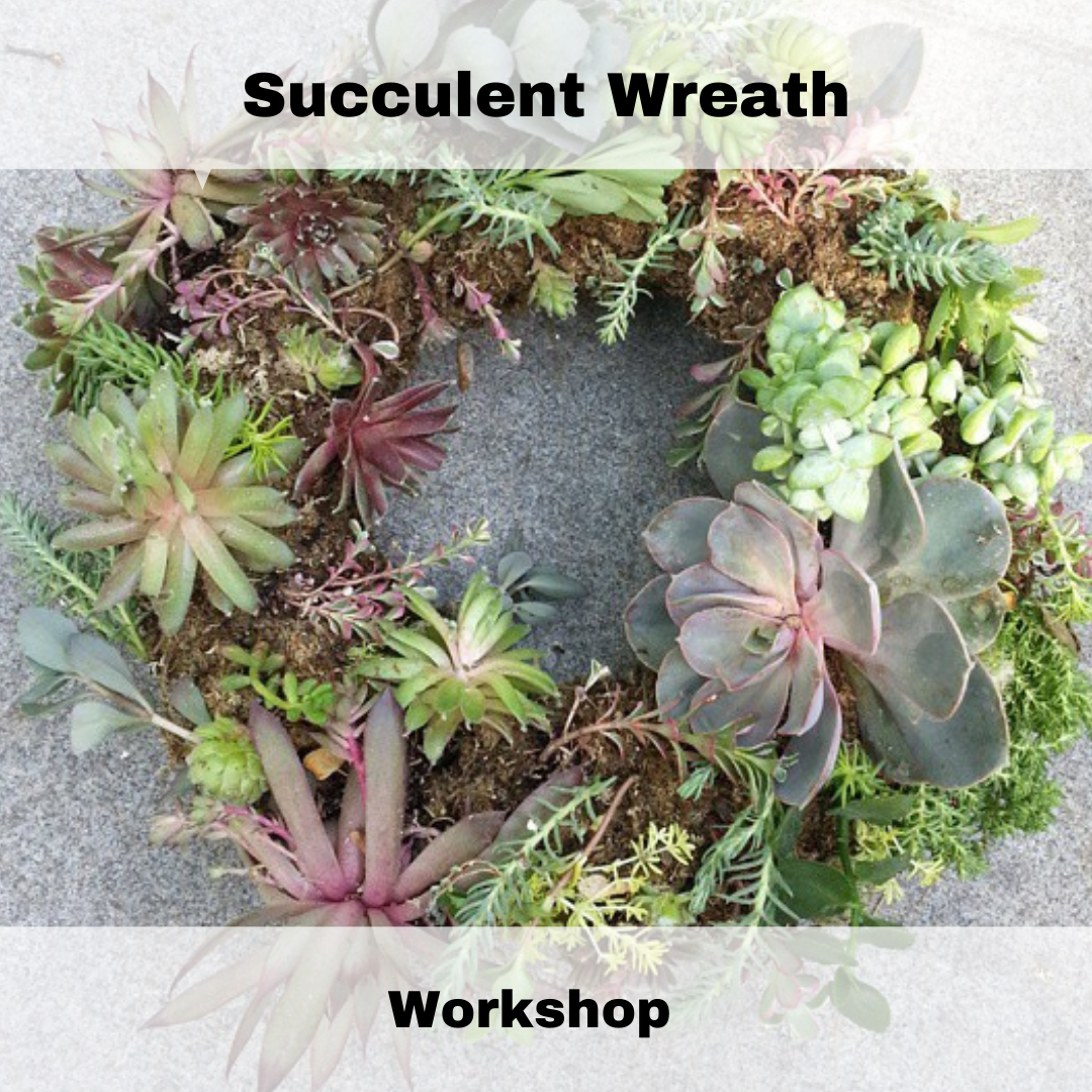Succulent Wreath Workshop