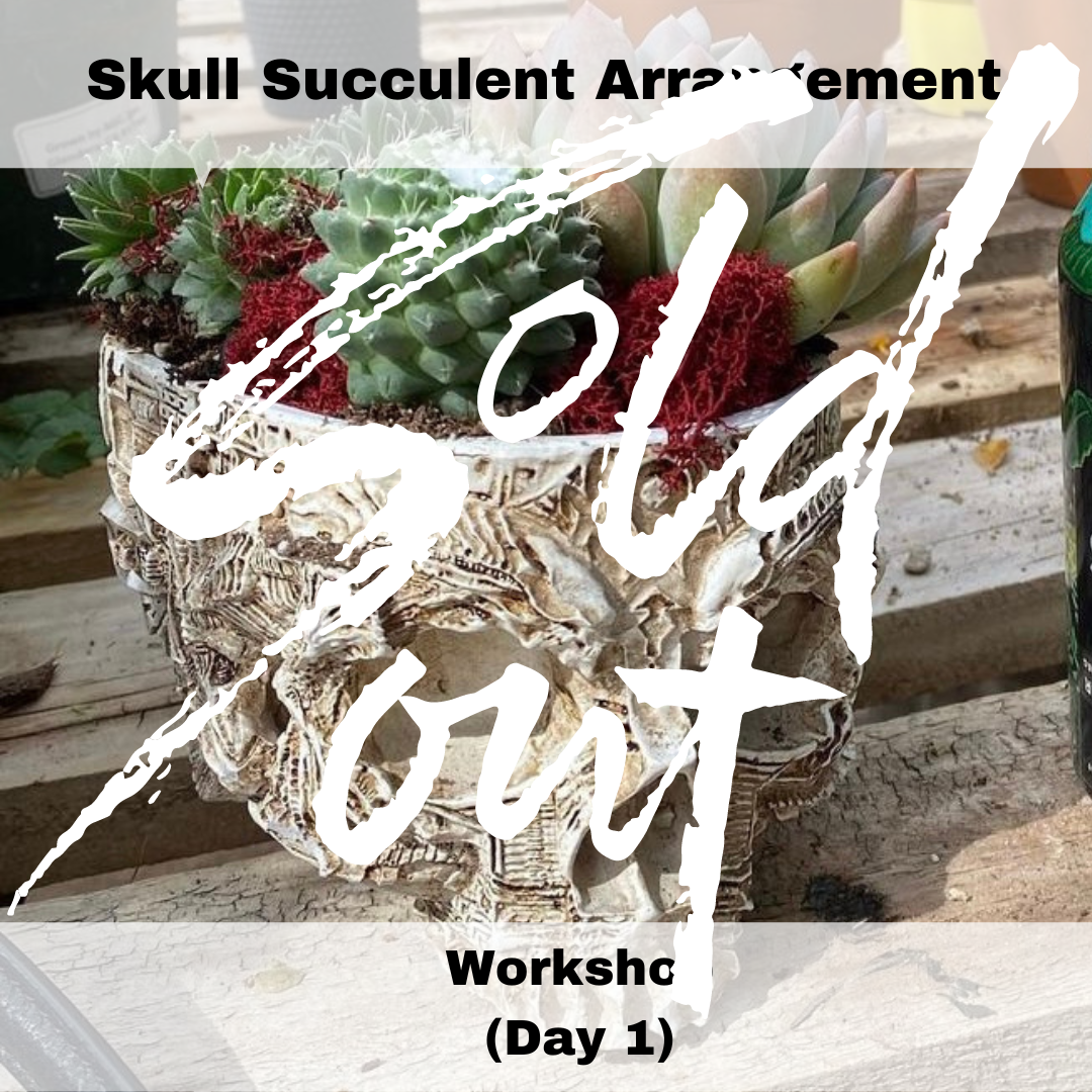 Succulent Skull Workshop 1 - SOLD OUT