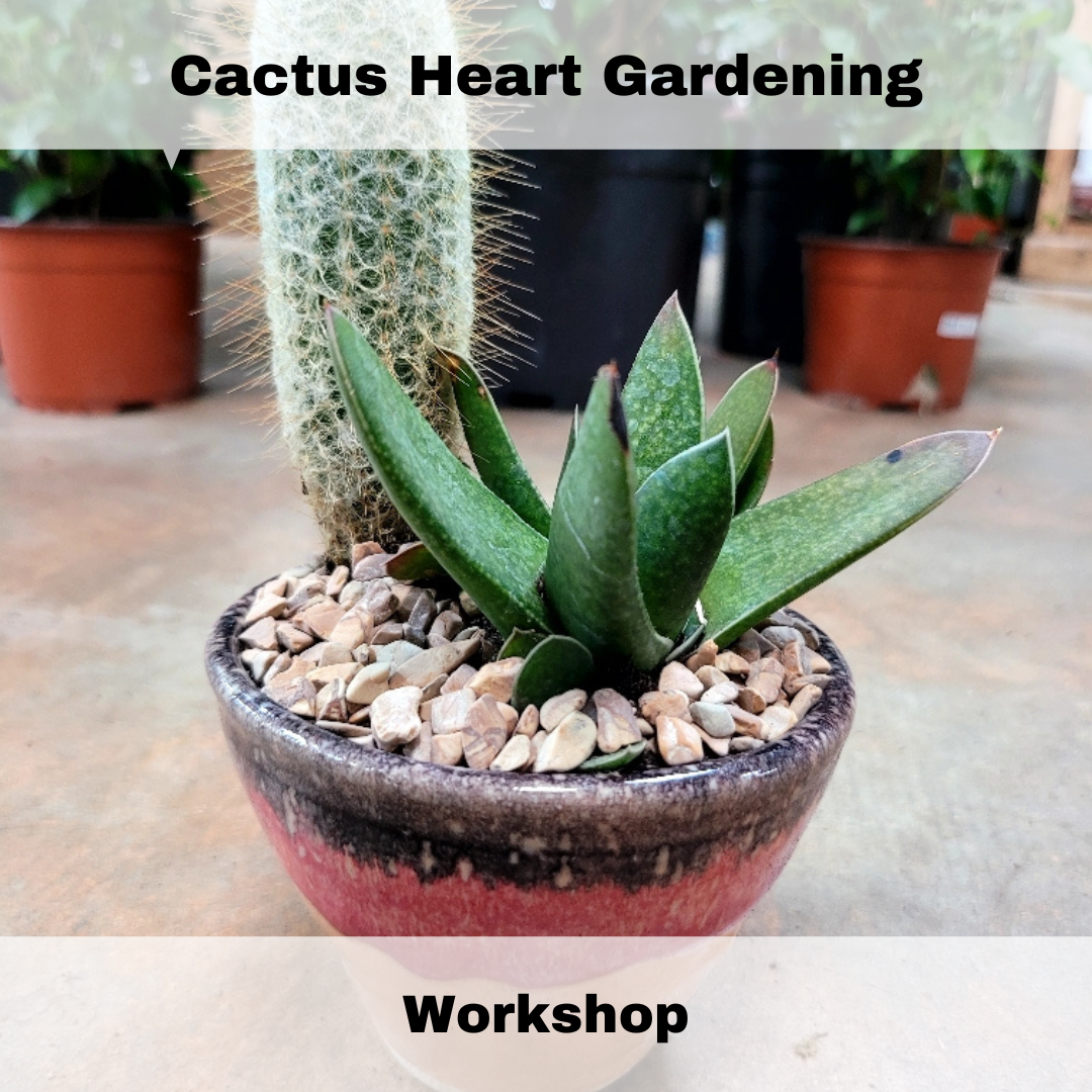 Cactus Heart Garden Workshop 