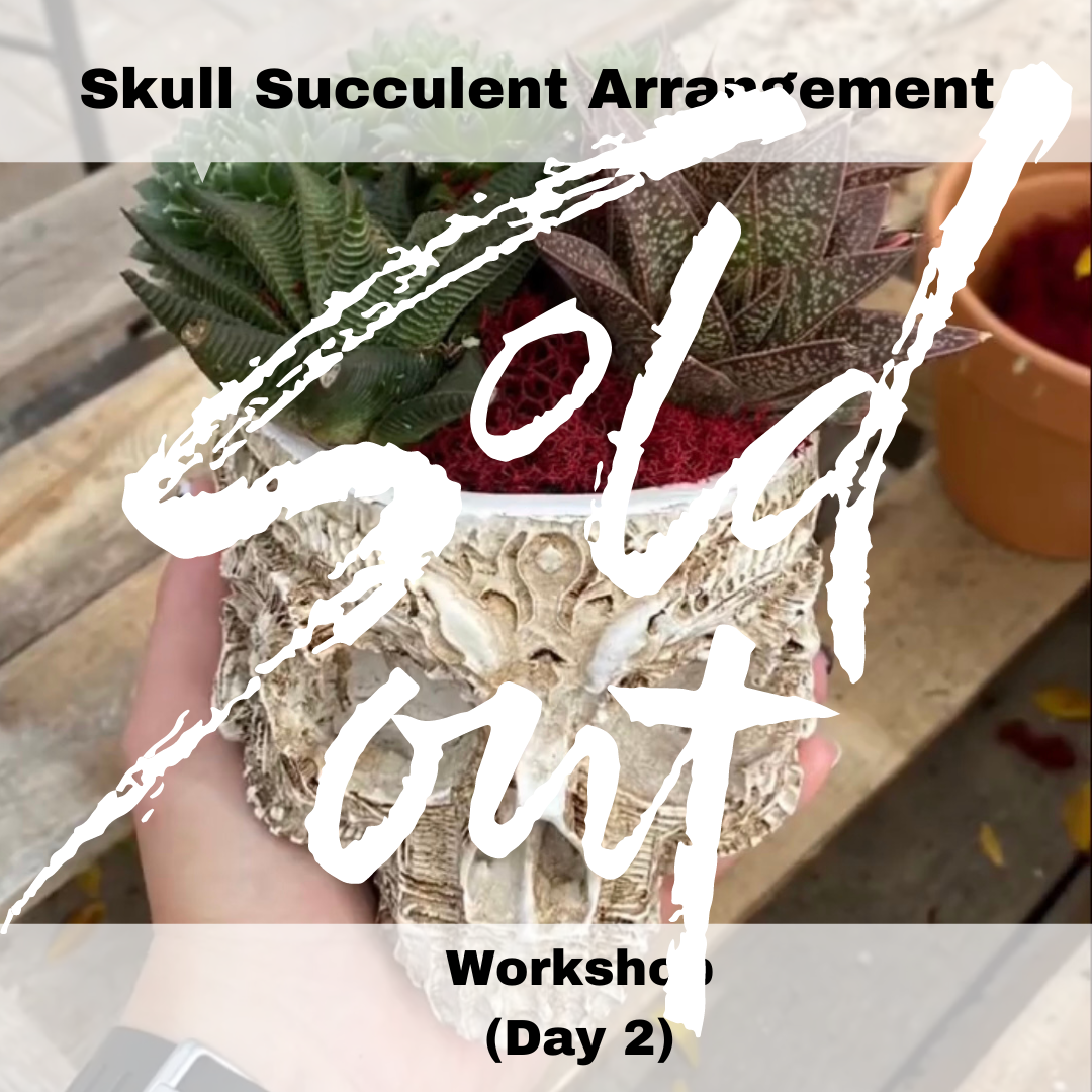 Succulent Skull Workshop 2 - SOLD OUT