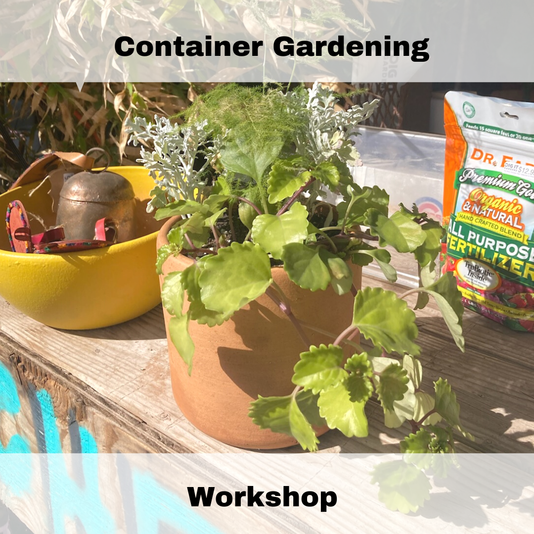 Container Gardening Workshop 