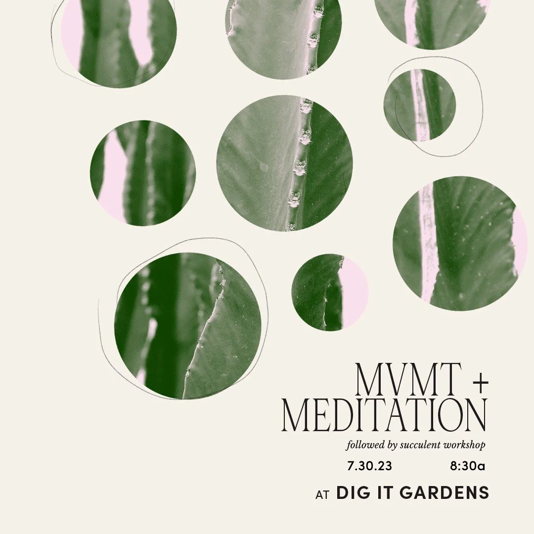 Mvmt, Meditation + Succulents 