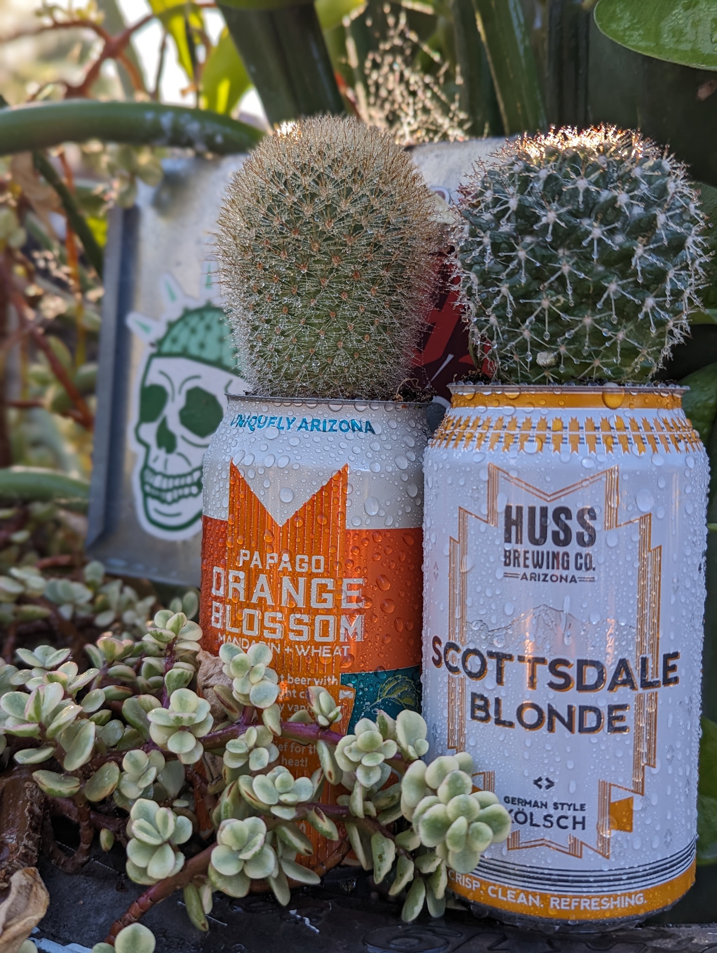 PXL_20231206_231156653.PORTRAIT (1).jpg