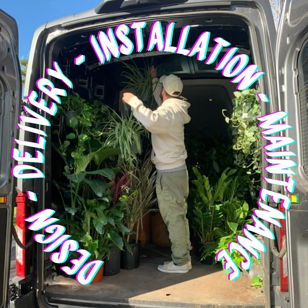 Let&rsquo;s talk interior foliage&hellip;We offer the following services with a genuine smile
- Interior Plant Design and Layout
- Delivery and Install
- Bi-Weekly or Monthly Maintenance 

On the @moontowerphx project @hsuoffice tagged us in to provi
