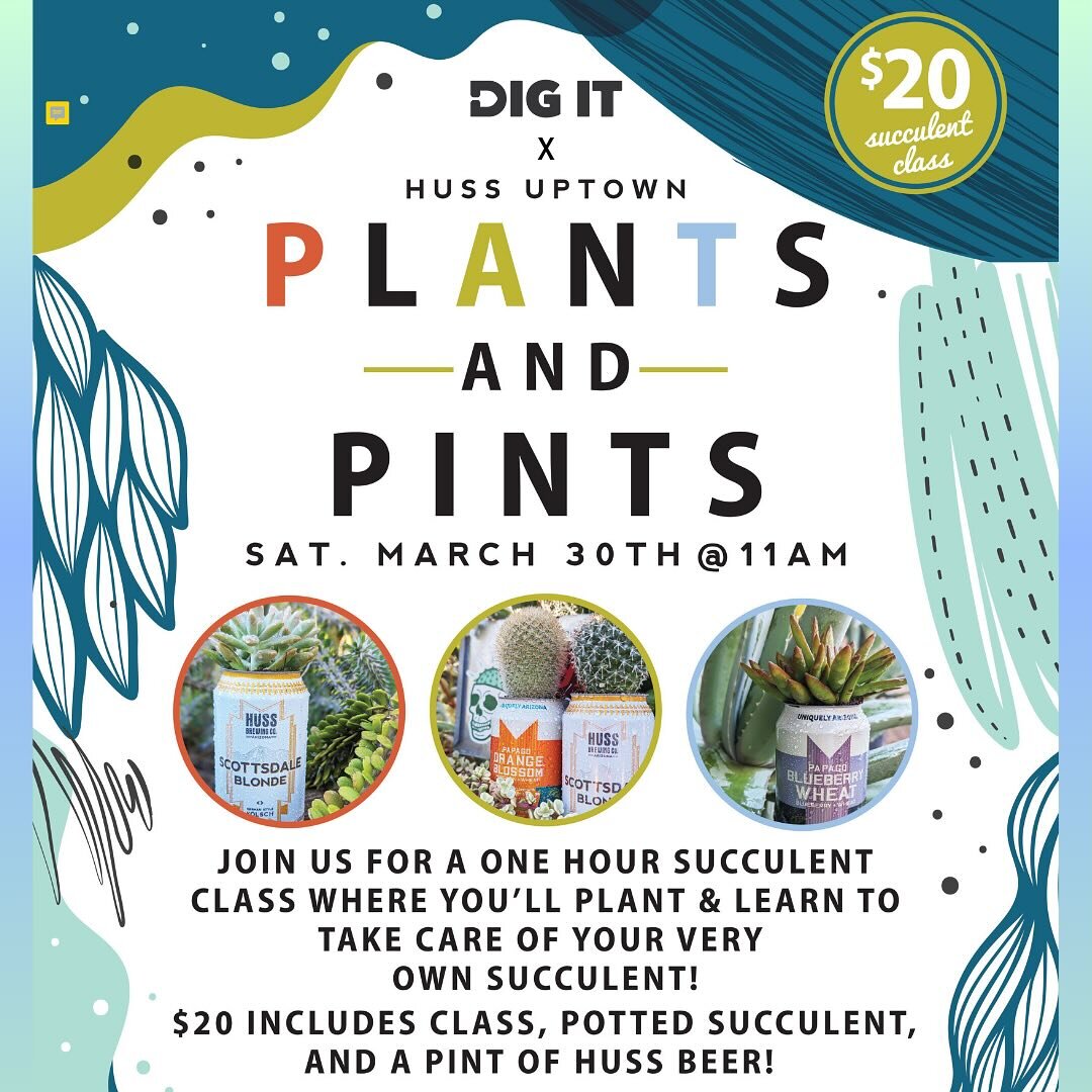 Plants+Pints+Good Peeps
@hussbrewing Uptown is having a little plant party&hellip;
$20 gets a bevvy and some plant knowledge.
NA options available.
Link in bio for the tix&hellip;
See ya Saturday!