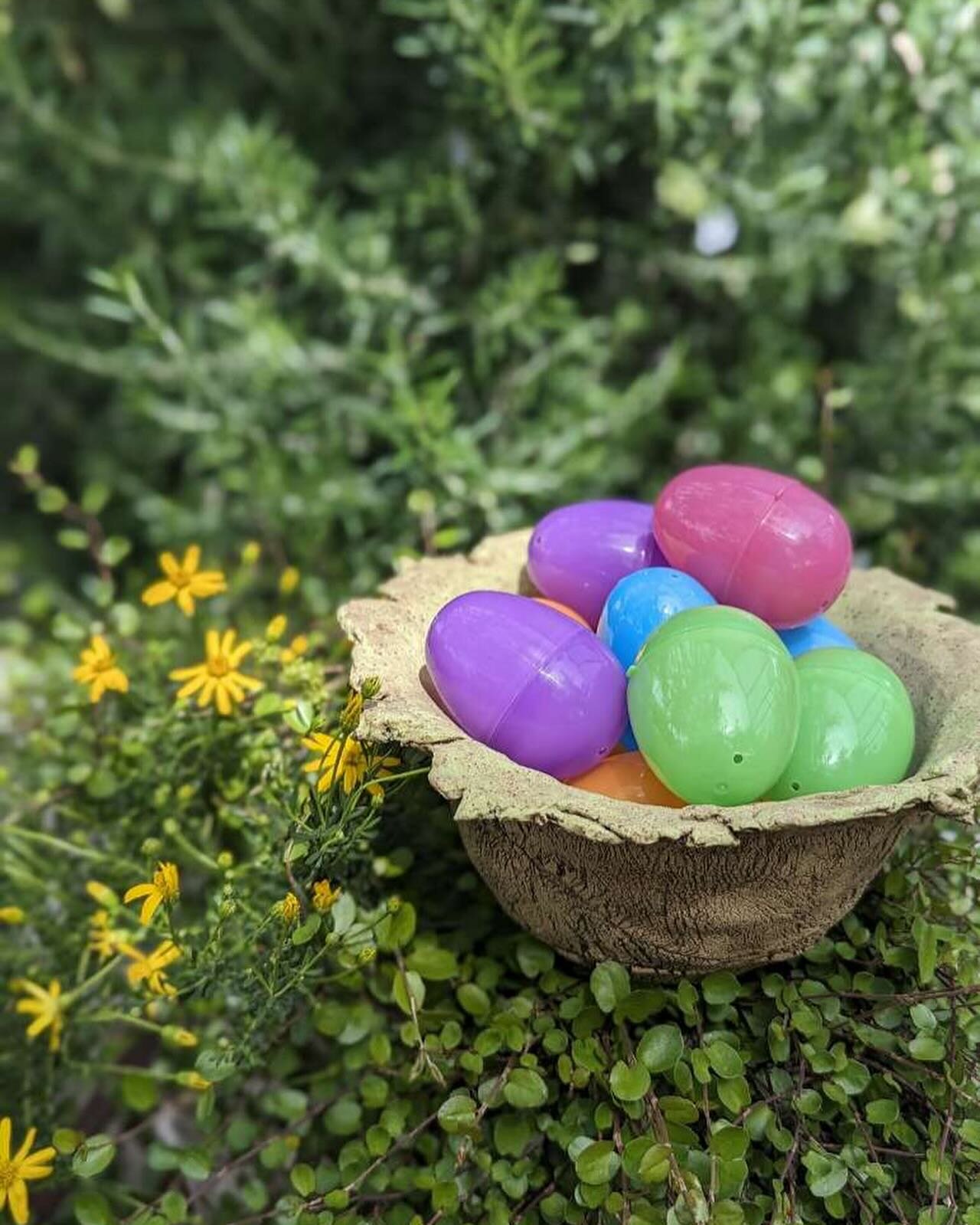 Easter egg hunt going down on Sunday&hellip;
Swoop up yeggs with&hellip;
- Shop Discounts
- Dig It Gear
- Sweet Treats and more

Rain or shine!