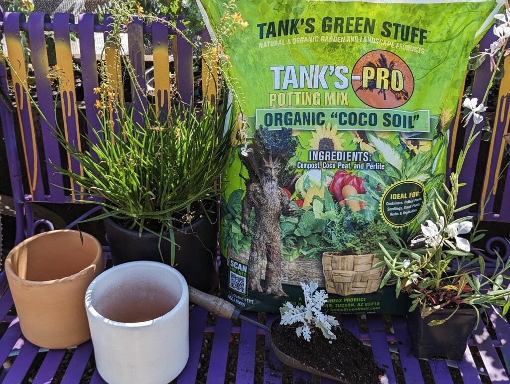 Container gardening workshop going down this weekend&hellip;

We&rsquo;ll hook you up with info on planting techniques, soil selection and maintenance strategies.

Link in bio to get your tix&hellip;

@tanks_green_stuff