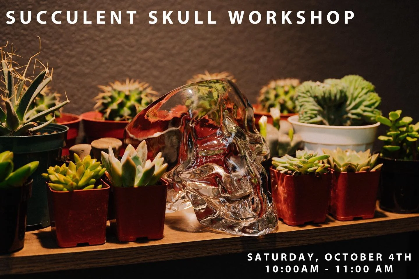 October is here and the Succulents Skull Workshop is back! Come treat yourself. We will guide you through the planting process, succulent plant selection and proper care instructions to make sure your new skull planter thrives!

Tickets are available
