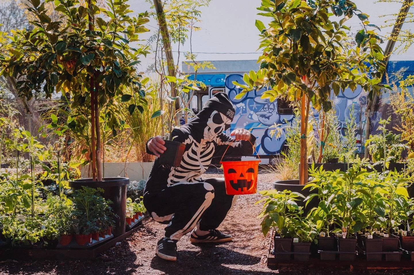 Trick or Treat, Dig It Friends 👻
We’re keepin’ it spooky and green all month long.
🪴 BOGO Veggies, Herbs & Seeds through the end of October.
Next week, pull up in your Halloween fit and snag a raffle ticket for:
💚 $100 to Dig It
☕