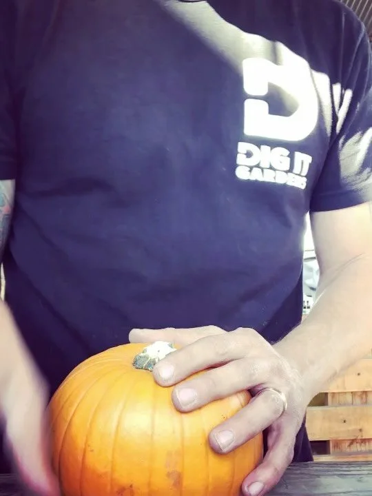 Pumpkin &amp; Succulents back again for the 7th year&hellip;as proof in the video from the first one.  IYKYK.

Link in bio to sign up and join us as we talk about succulent care and gut pumpkins, doesn&rsquo;t get much better in our opinion!