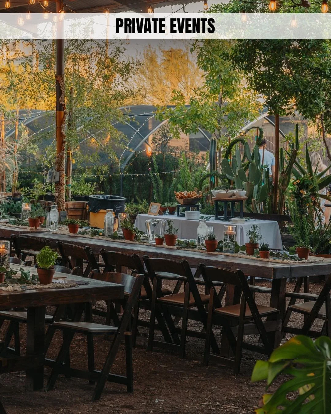 Did you know that Dig It Does more than the best plants and pottery?
✨ Interior Plantscape &amp; Maintenance
🌵 Design + Build
🥂 Private Events - Weddings 💍 Birthday Parties 🎂Workshops 🌱

Let&rsquo;s bring a little more green into your world. 🌿
