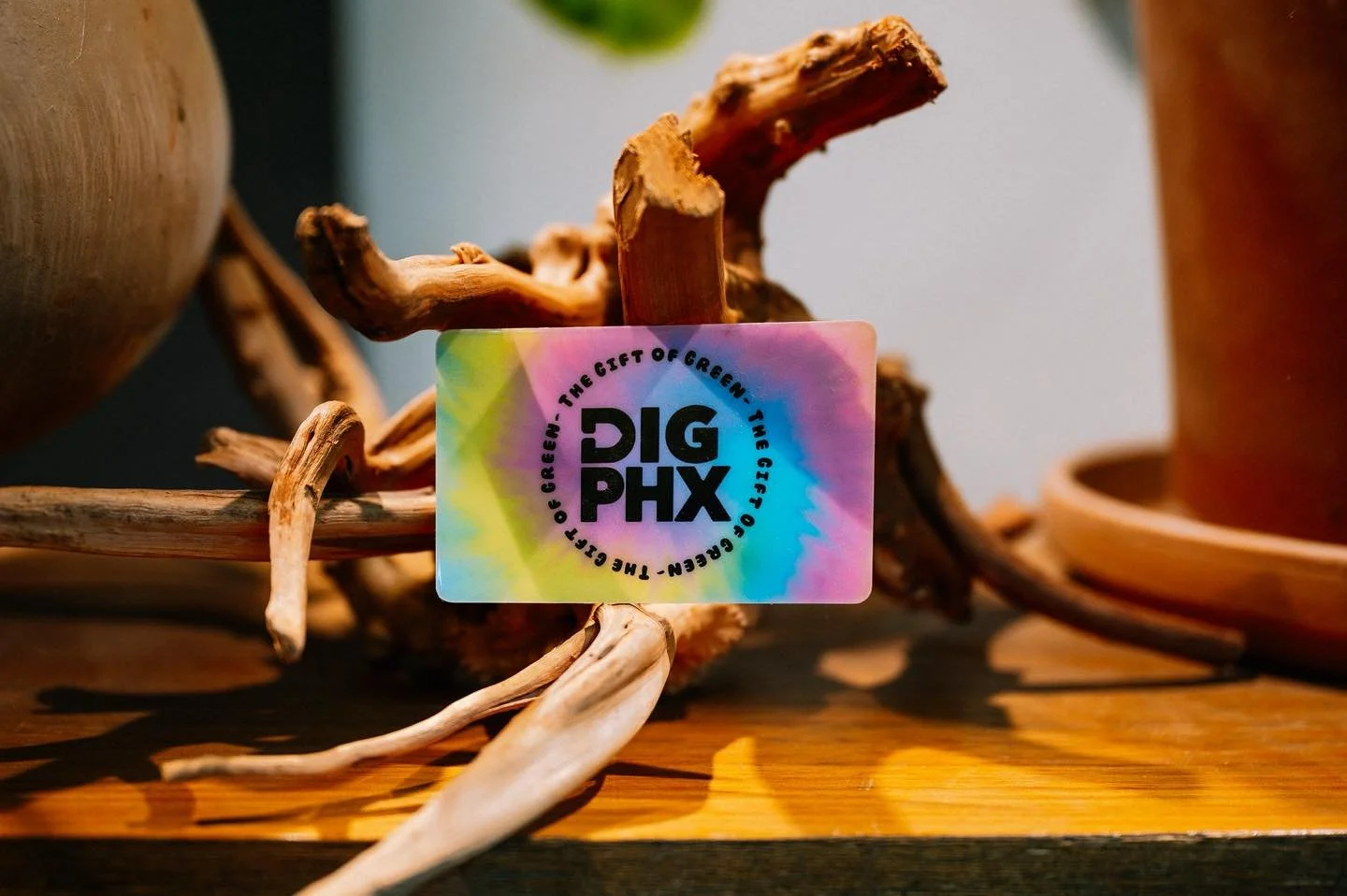 Give the gift of Green &mdash; and treat yourself while you&rsquo;re at it! 🌱✨
Buy a $50 gift card and get $10 OFF your purchase, in-store only, now through December 24th.
Holiday countdown is on&hellip; don&rsquo;t wait! 🎁💚
PS - We will be open u