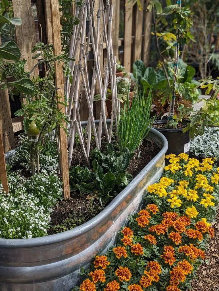 Spring Gardening Kick Off 