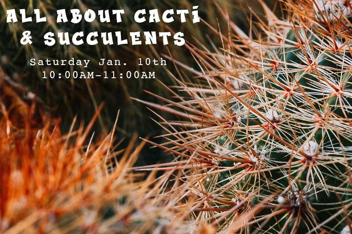 Our first class of 2026 is soon! ✨ Come join us January 10th to learn all about Cacti &amp; Succulents. We will be breaking down all the important information revolving around soil, sunlight, water needs, and so much more!🌵Your ticket will include 1