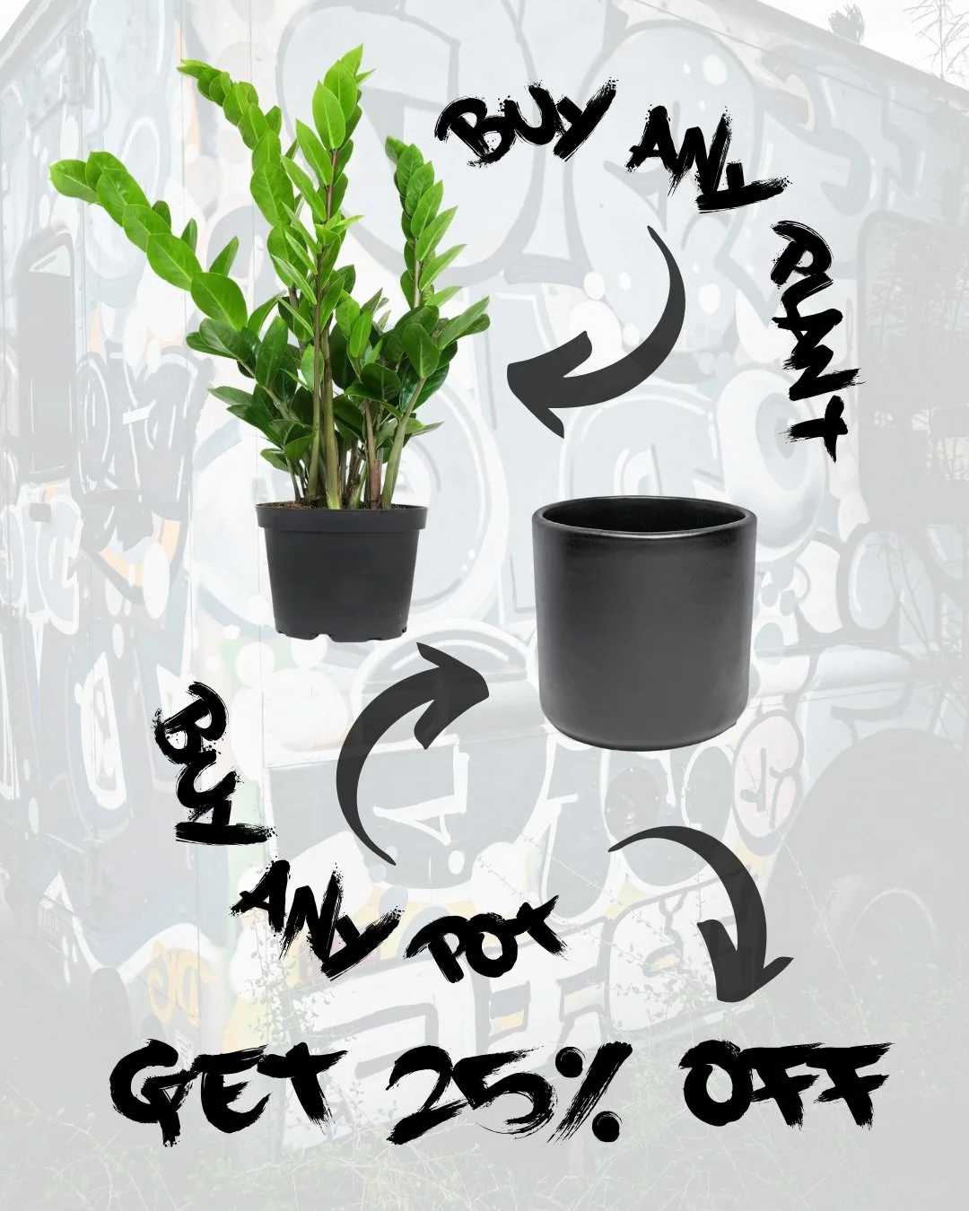 🪴SALE🪴 Now through Sunday grab ANY size plant, and ANY size pot and get 25% off! Mix + match, and stock up on new plants &amp; pots for inside or outside!

Star off your 2026 growing strong with a little more green in your life. 

#digitgardens #pl