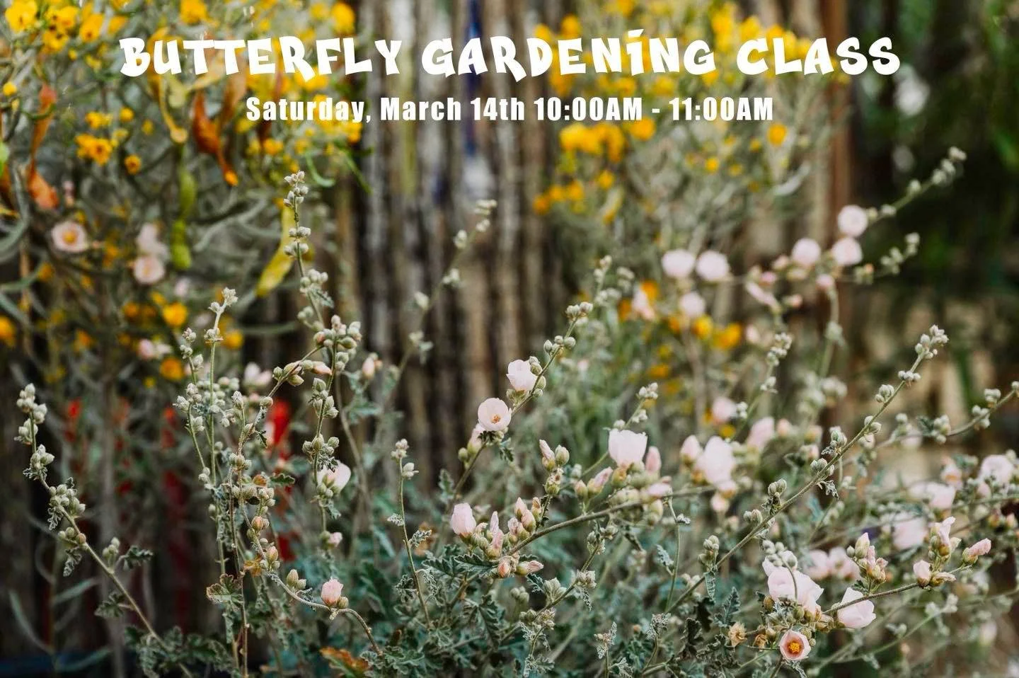 TOMORROW! During our Customer Love Event, we will be hosting a Butterfly Gardening Class 🦋 Come spend some time with us, as we show you which plants to chose, simple and practical design ideas, and all the care tips you can think of in order for you