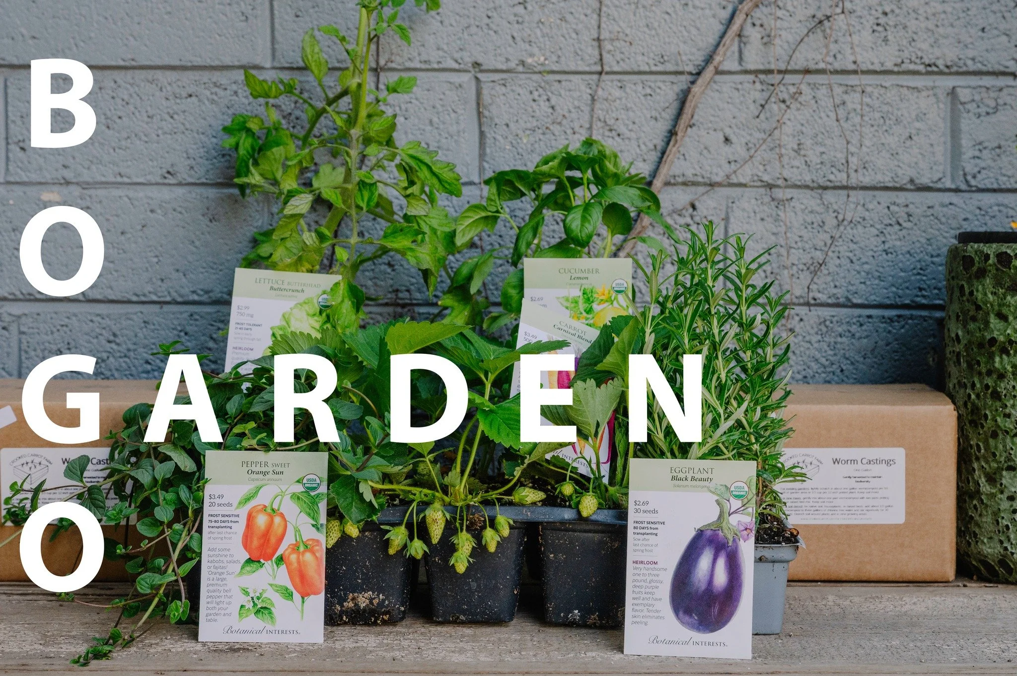 🌱 BOGO Seed + Starts 🌱

Now through the end of the month &mdash; all seeds + veggie/herb starts are BOGO.
Time to get after it.

Grab some compost + worm castings while you&rsquo;re here and talk to the crew &mdash; we&rsquo;ll get you set up for a