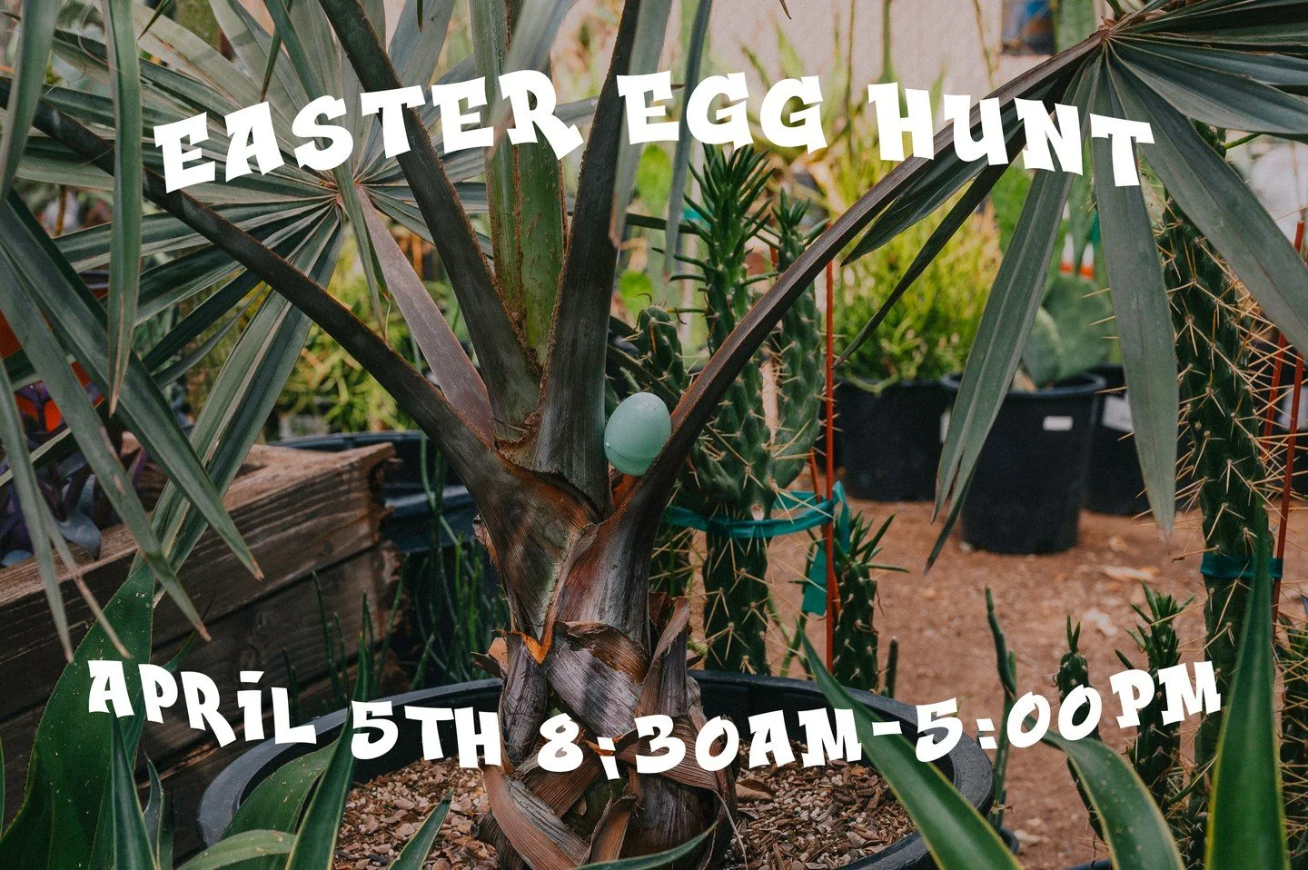 This Easter Sunday we are hosting an egg hunt across the garden! Eggs will be scattered everywhere and filled with goodies like candy, discounts, and more!

 #egghunt #digphx #downtownphoenix #phxsmallbusiness #eastersunday