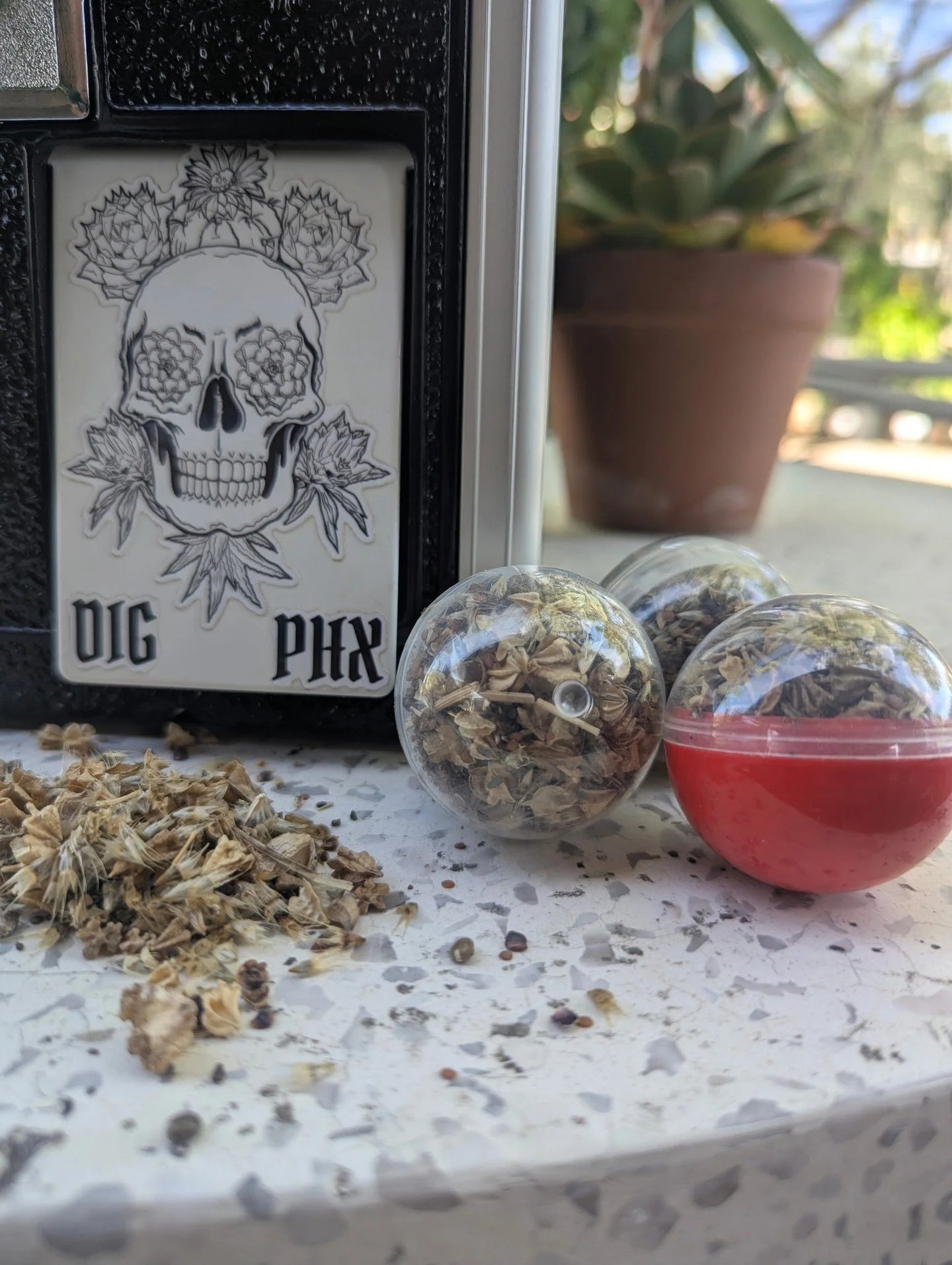 🌎 Earth Day at Dig It 🌱

Let&rsquo;s show Mother Earth some love 💚

Swing by the shop this Earth Day and we&rsquo;ll hook you up with a FREE seed ball packed our custom native wildflower mix&mdash;ready to toss, grow, and bring some beauty into th